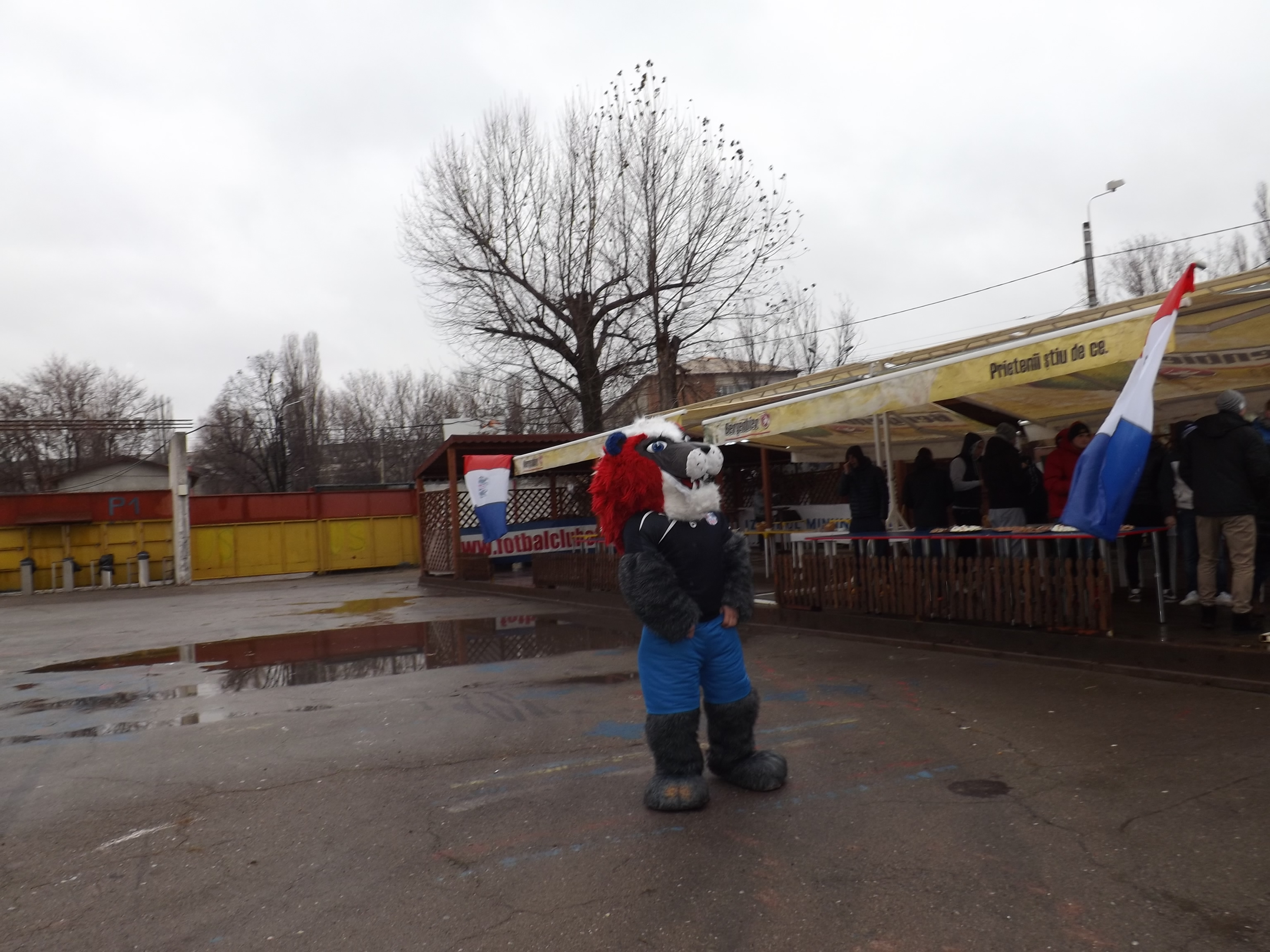 Oțelarii au tăiat porcul, dar cu atenție la siluetă! Selymes dă amenzi de 500 euro pe kilogram în plus