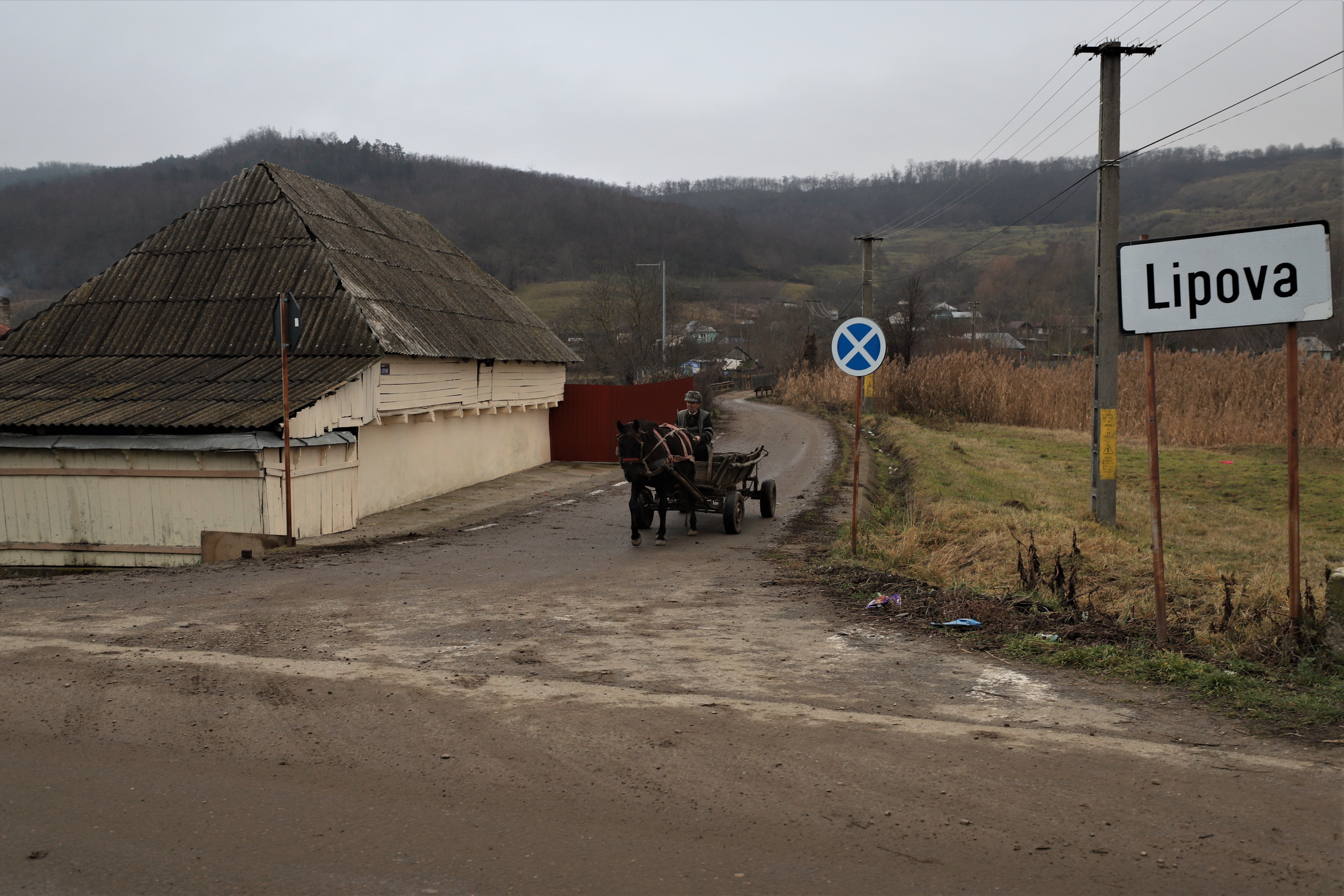 REPORTAJ. Cum s-a trezit un gospodar din judeţul Bacău cu trei ruşi în curtea casei: „Am scris cu dalta pe cruce Eroi Necunoscuţi”