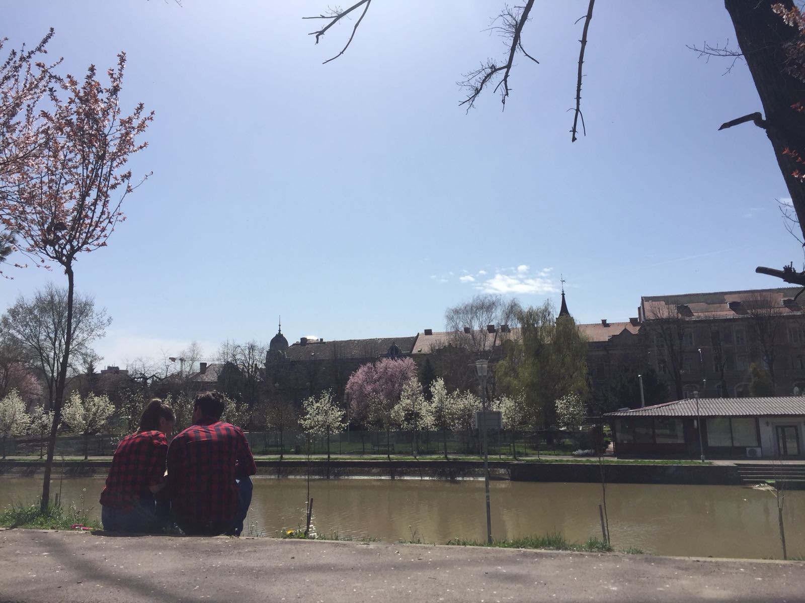 TURIST ÎN ȚARA MEA/ Timișoara înflorește odată cu primăvara. Mica Vienă, orașul premierelor cu o alură aparte de Paști
