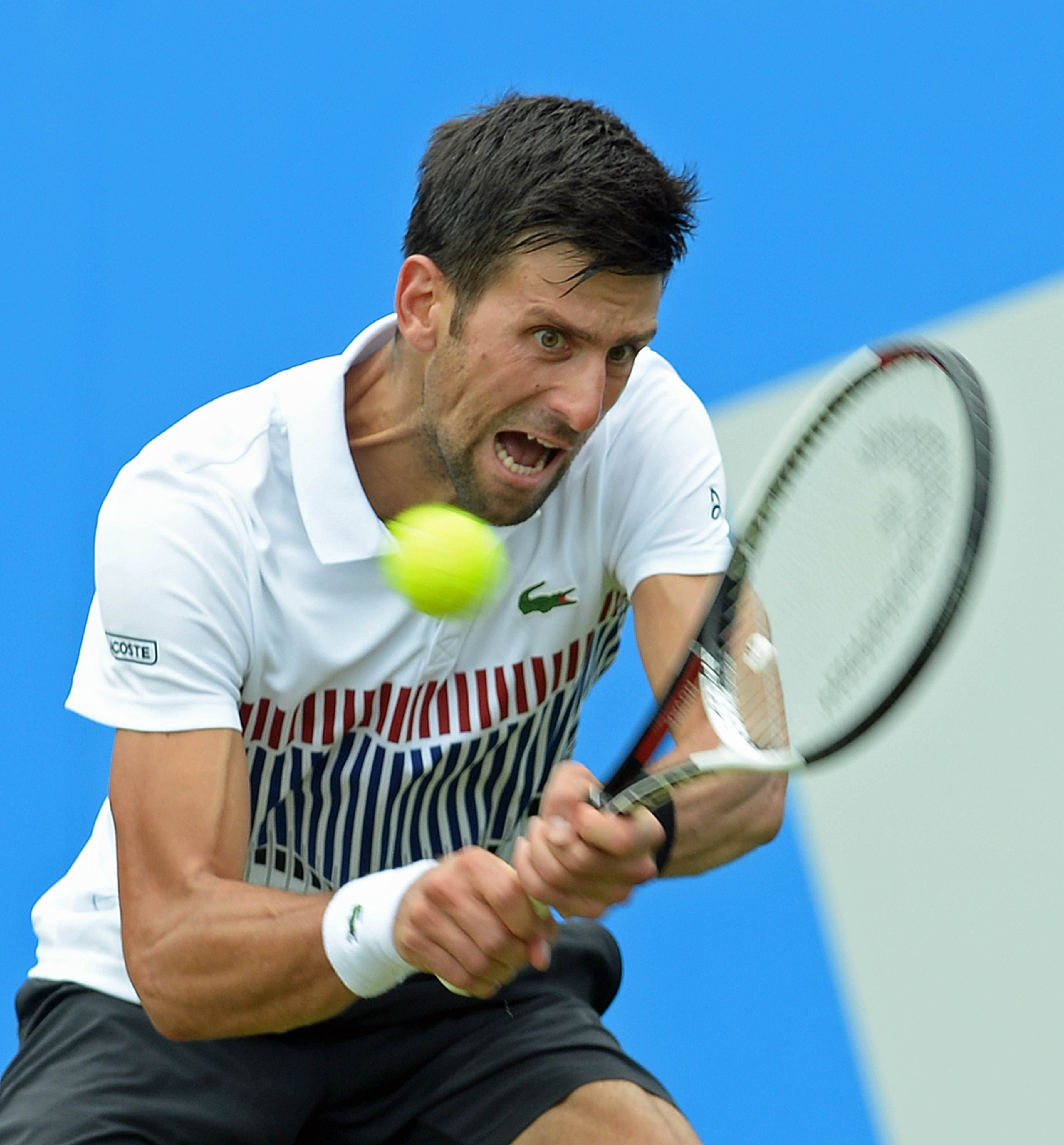 Novak Djokovic a triumfat la Eastbourne. Al doilea său trofeu din acest an / GALERIE FOTO