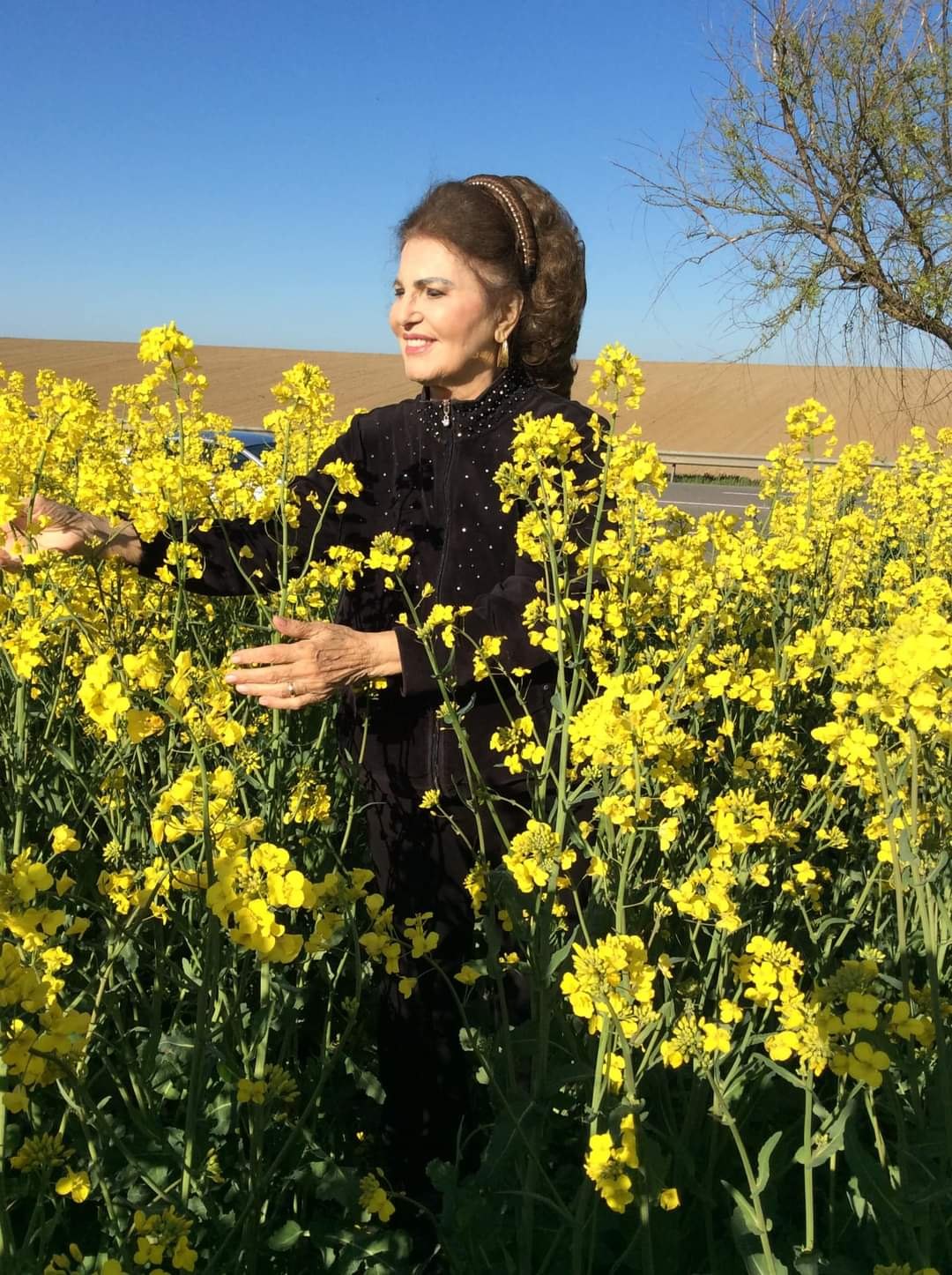 Irina Loghin a acționat în instanță după ce a fost victima unei înșelătorii. Anunțul făcut de avocata artistei. „Vă aduc la cunoștință o situație gravă”