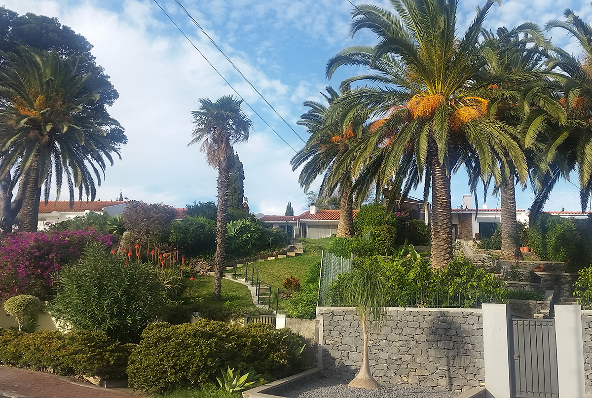 Revelion în Madeira | Insula portugheză plină de viață, locul potrivit pentru petrecerile de final de an