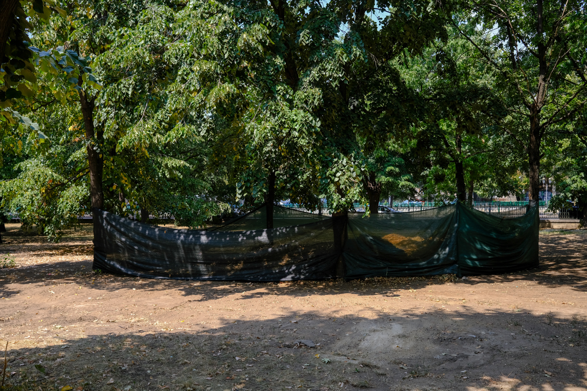 Concesionarea Parcului Izvor, între „festivalizarea orașului” și „nu-l distrugem, îl facem mai frumos”