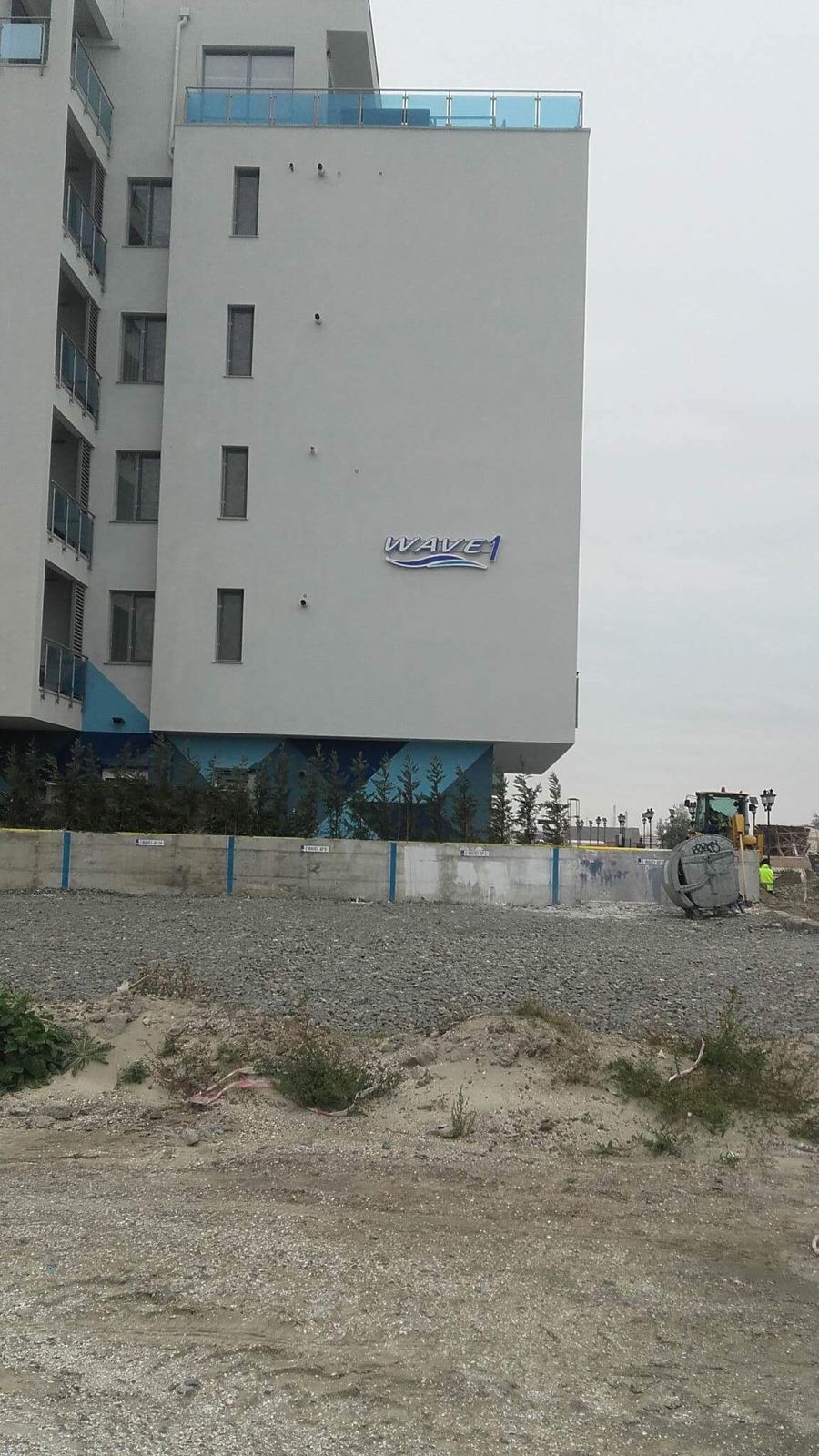 Porci mistreți, găsiți morți și parțial sfâșiați pe o plajă din nordul stațiunii Mamaia - FOTO&VIDEO