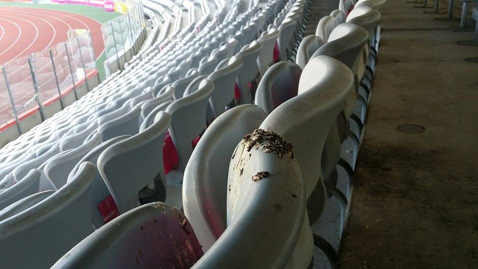 România - Muntenegru (duminică, ora 21.45). Suporterii naționalei, batjocoriți. Găinaț de pasăre, pe scaune! PLUS DOVADA că gazonul a fost vopsit! GALERIE FOTO