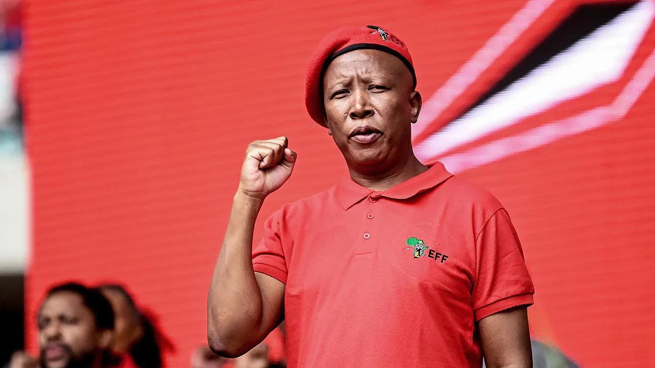South African opposition leader calls prison a “badge of honour” following firearms conviction