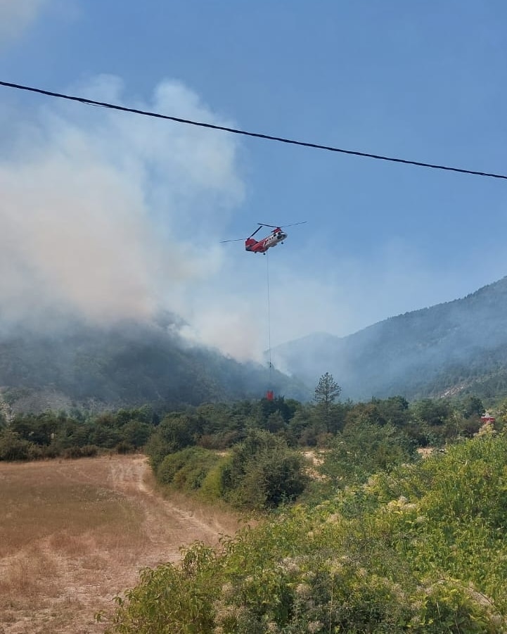 Pompierii români intervin în insula Corsica pentru stingerea unui incendiu forestier