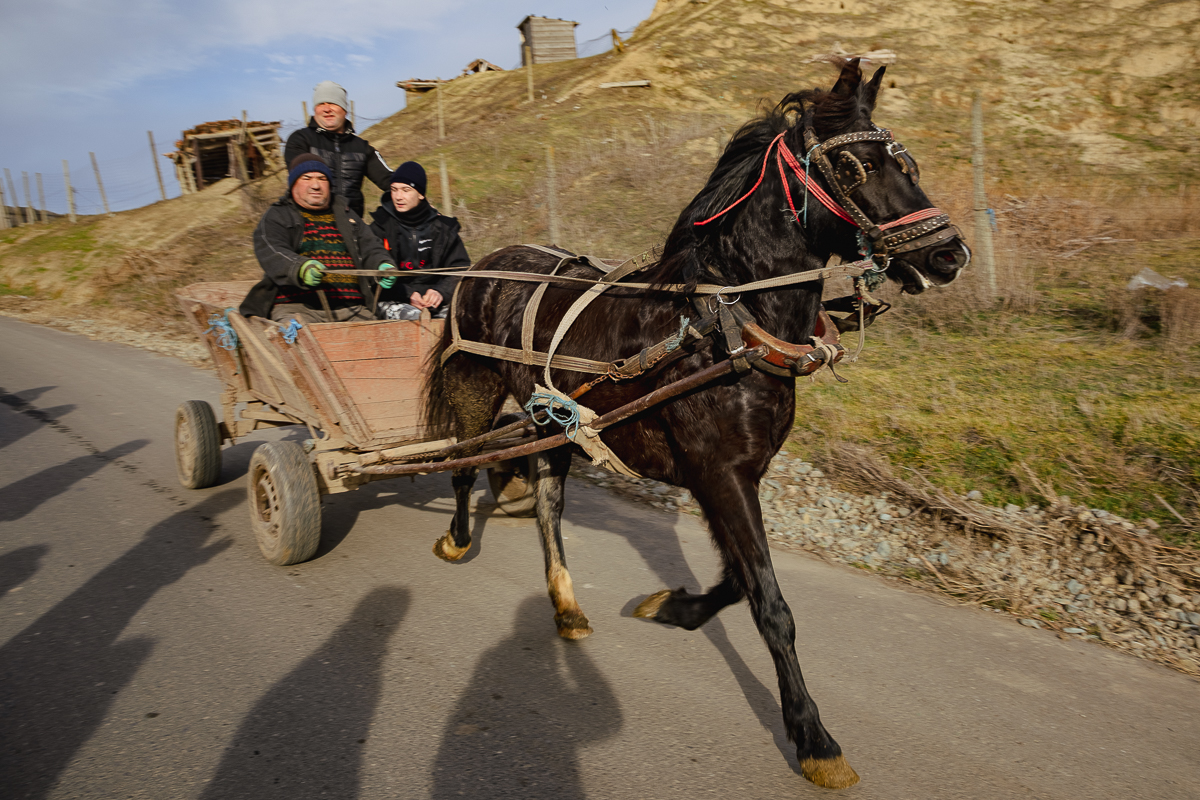 REPORTAJ Boboteaza pe malul Dunării, în comuna Ostrov: procesiune la debarcader, concurs de prins crucea și curse de cai