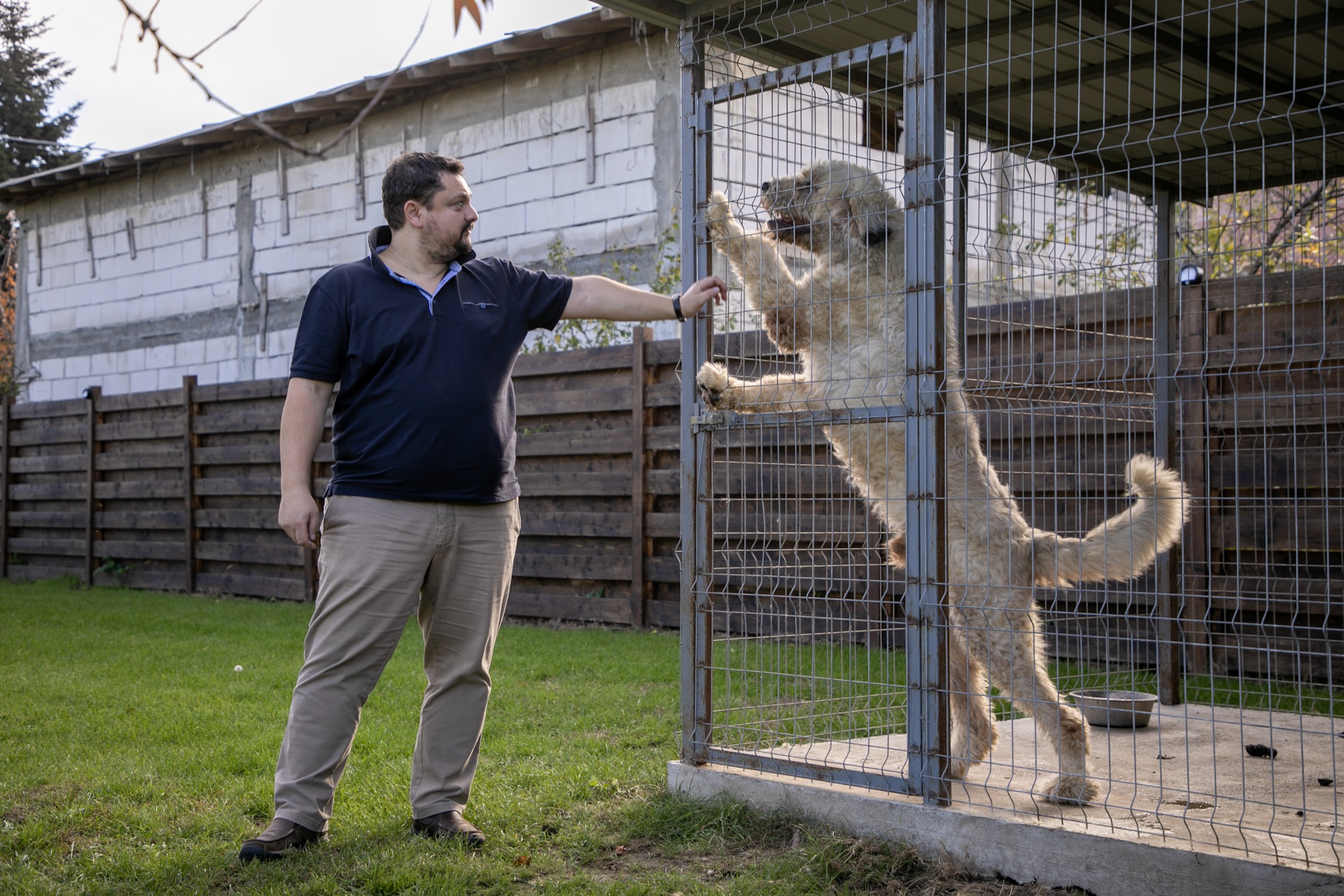 Un medic și-a părăsit casa din cartierul Străulești de frica unor vecini agresivi, pe care i-a reclamat că au construit ilegal o vilă. Bărbatul acuză: „Primarul și Poliția protejează interlopii”