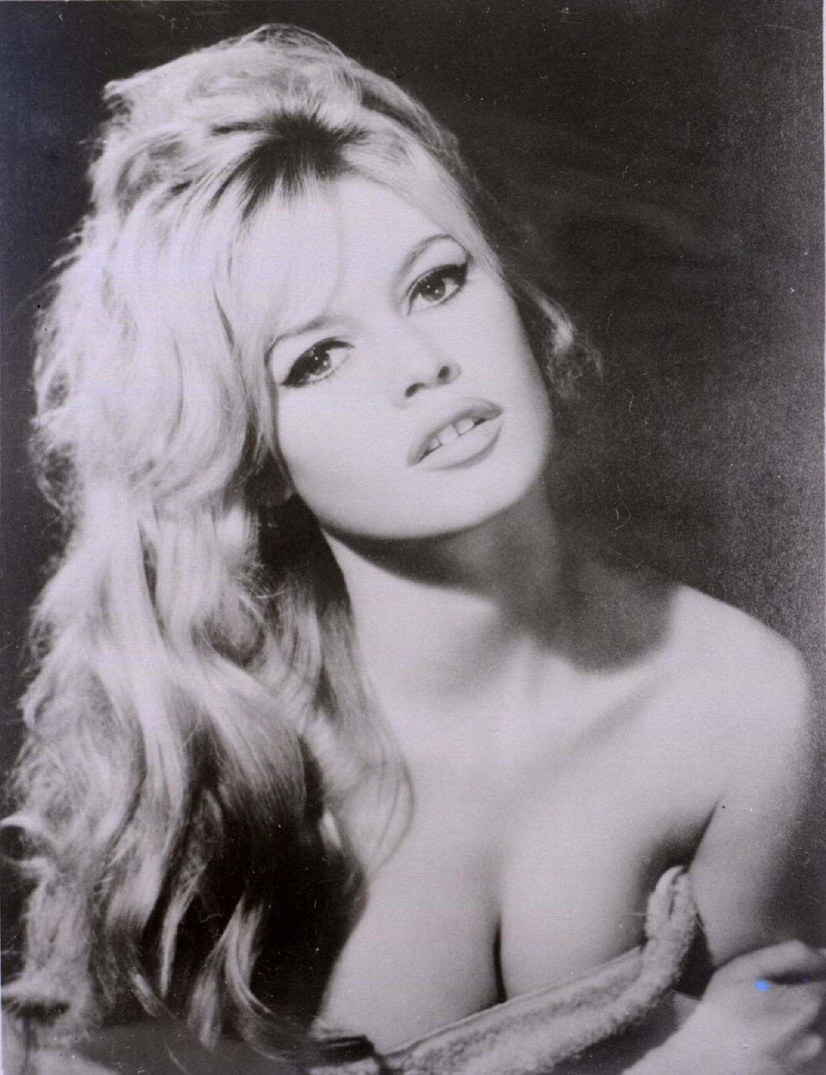Brigitte Bardot și relația complicată cu fiul ei: „Mai bine aveam un câine decât un copil”. Cine e Nicolas-Jacques Charrier