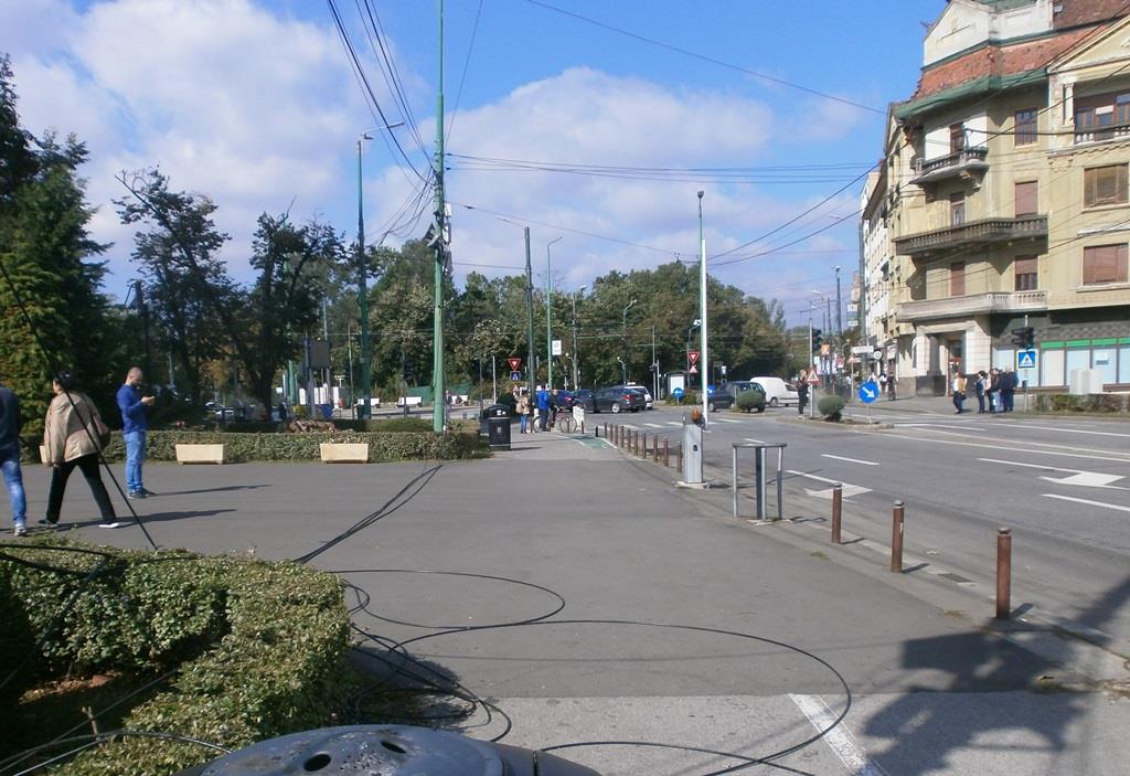 FOTO| Peisaj dezolant în Timișoara la aproape trei săptămâni de la furtună: cabluri atârnate, copaci doborâți și beznă pe străzi