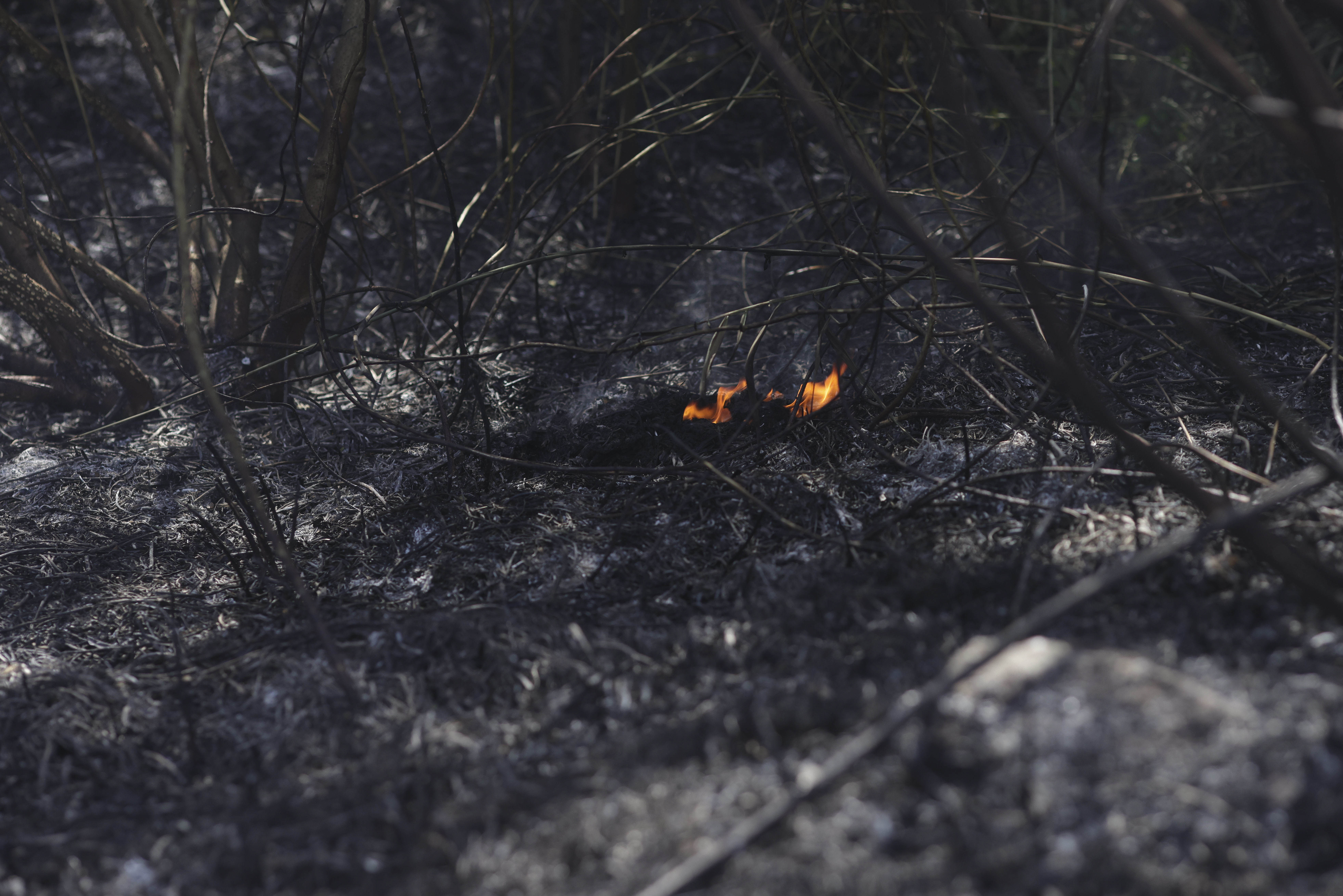 Incendiu uriaș de vegetație în Maramureș. Flăcările au ajuns în zona locuințelor. Circa 90 de oameni, evacuați