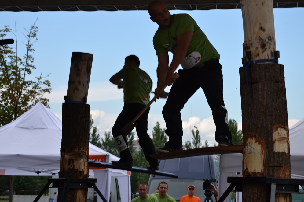 FOTO/ Se dă bătălia pentru titlul de cel mai tare tăietor de lemne din țară
