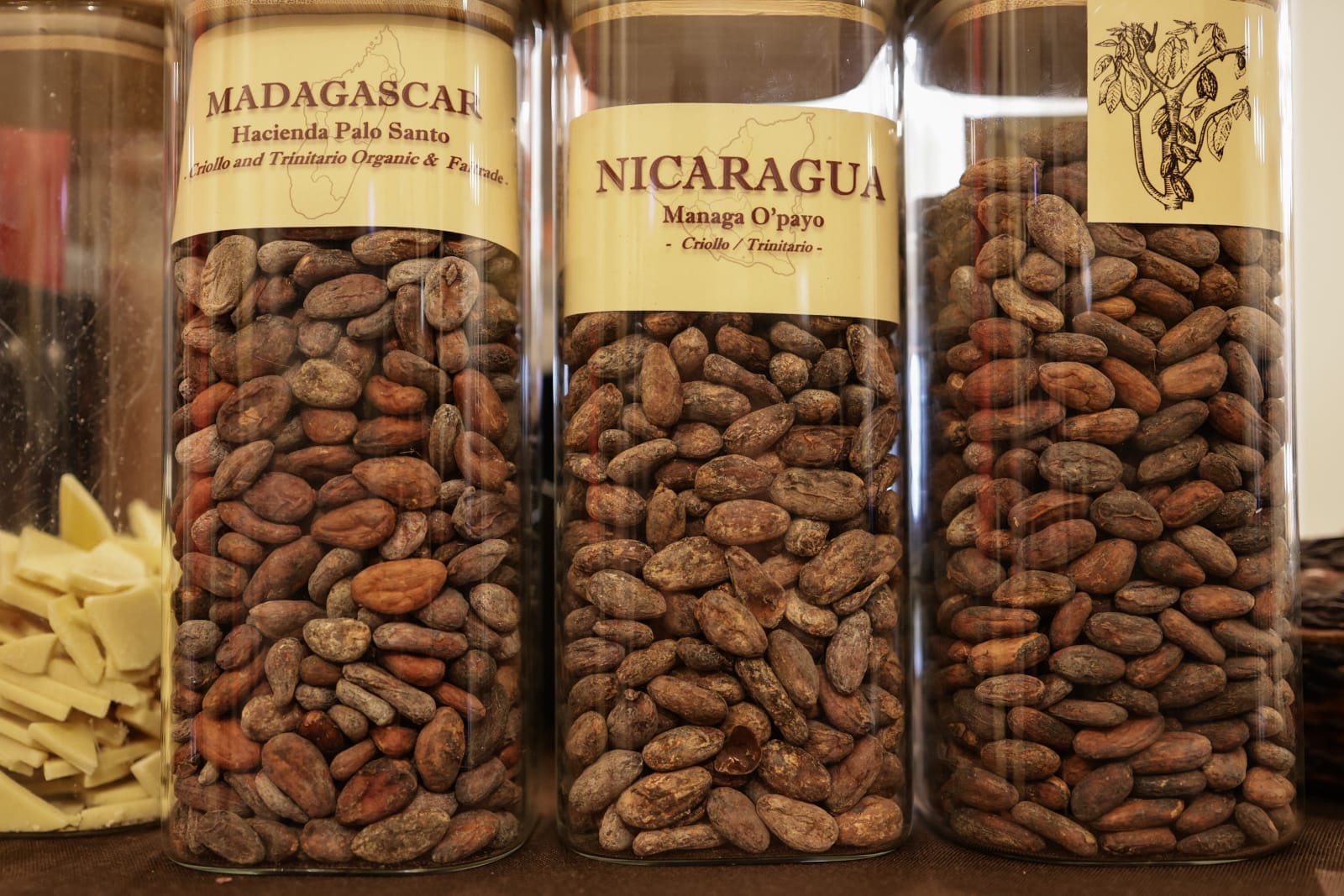 „Ciocolata lui Eminescu” și pralinele cu bere, vedetele festivalului Chocolate Saga, de la Biblioteca Națională