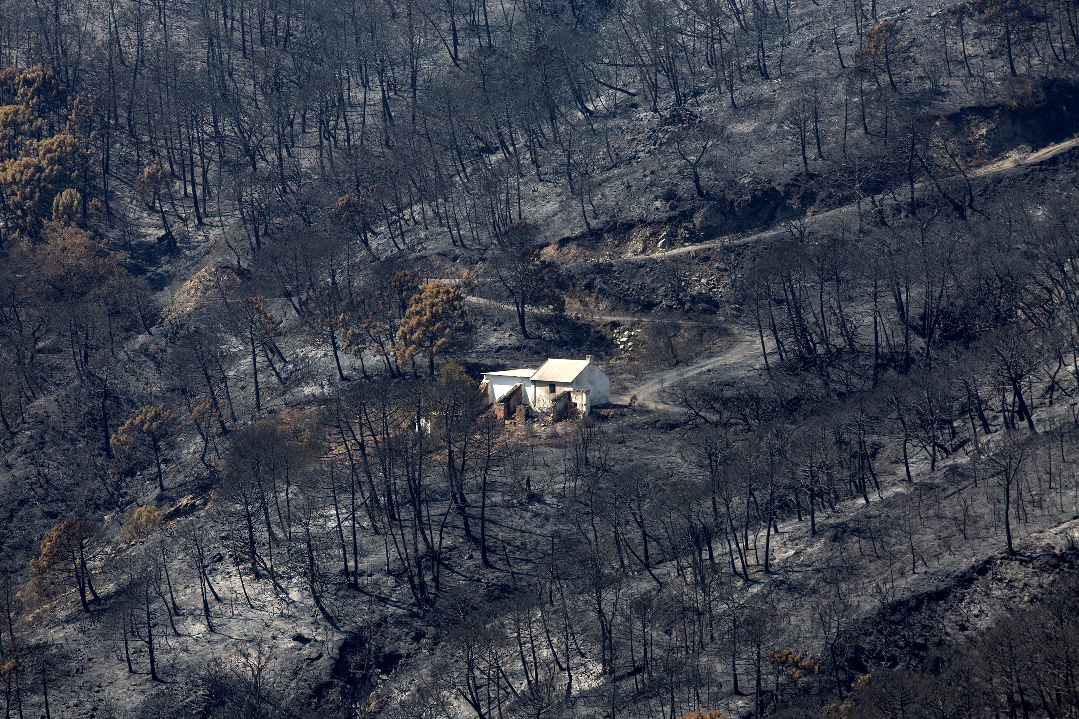 Peste 250 de soldați se luptă cu incendiile din sudul Spaniei. Numărul persoanelor evacuate a depășit 2.000