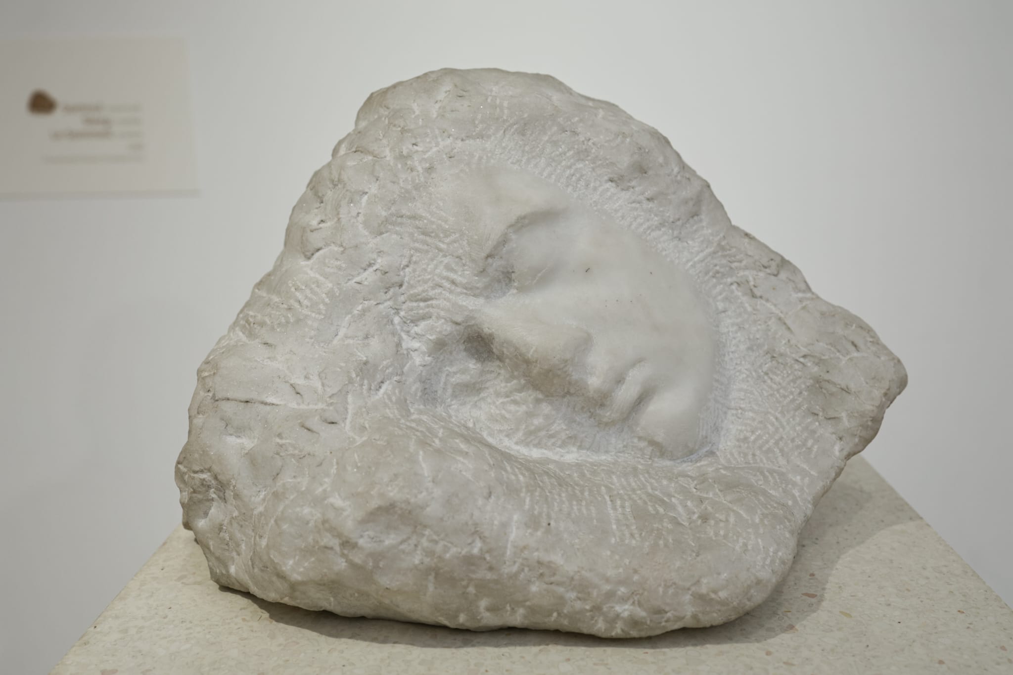 Ziua Națională Constantin Brâncuși 2025. Pe 19 februarie se împlinesc 149 de ani de la nașterea marelui sculptor