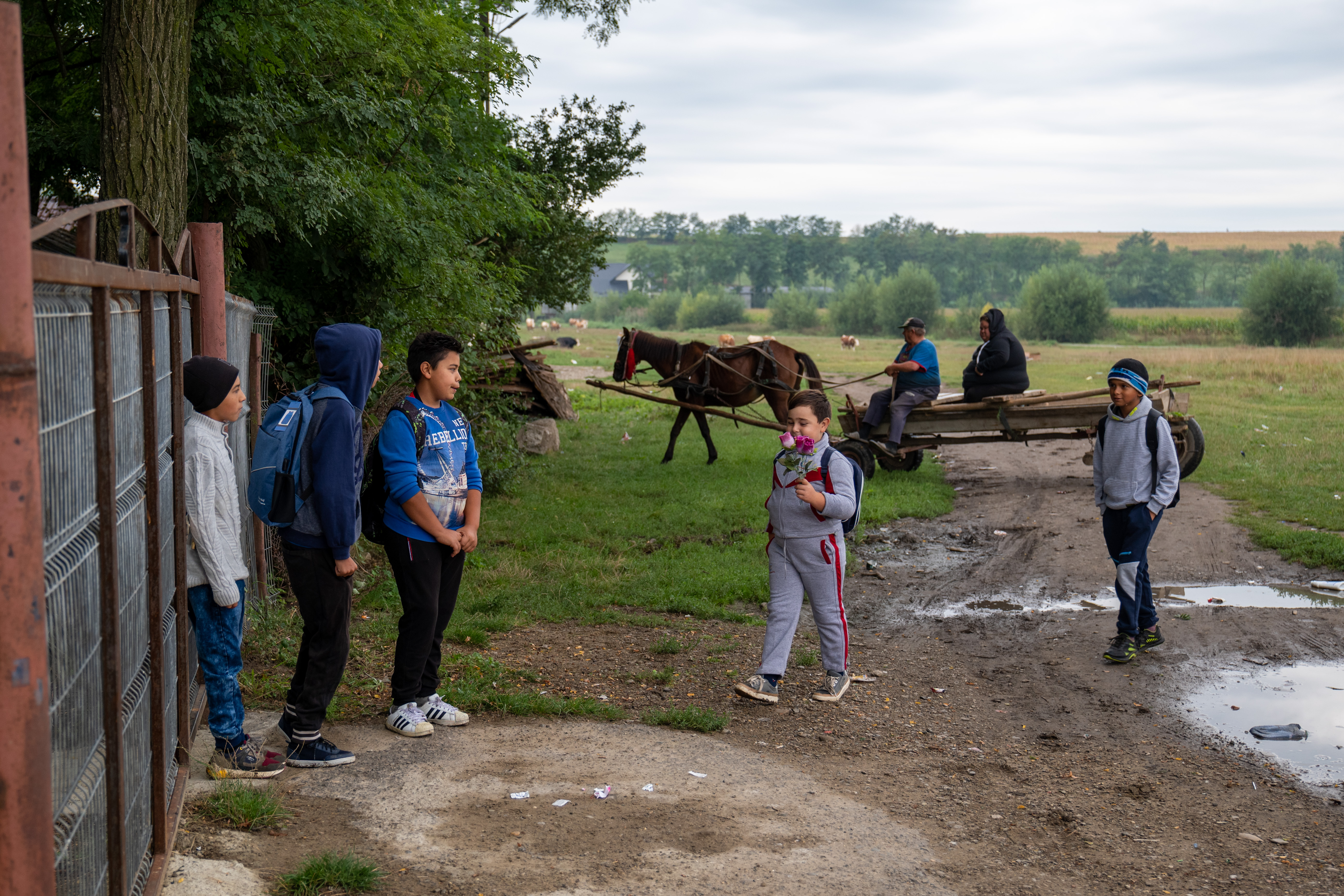 REPORTAJ. Cum a început anul școlar pentru elevii dintr-un sat din nordul Moldovei: romii învață în casă de chirpici, cu WC-ul în curte, românii, în școală cu toalete moderne