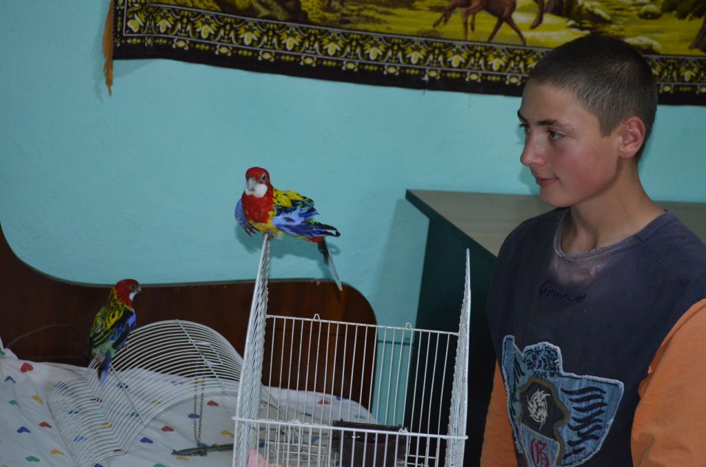 FOTO / Mesaj EMOŢIONANT pentru Gigi: ”Mă rog în fiecare zi să fie eliberat”
