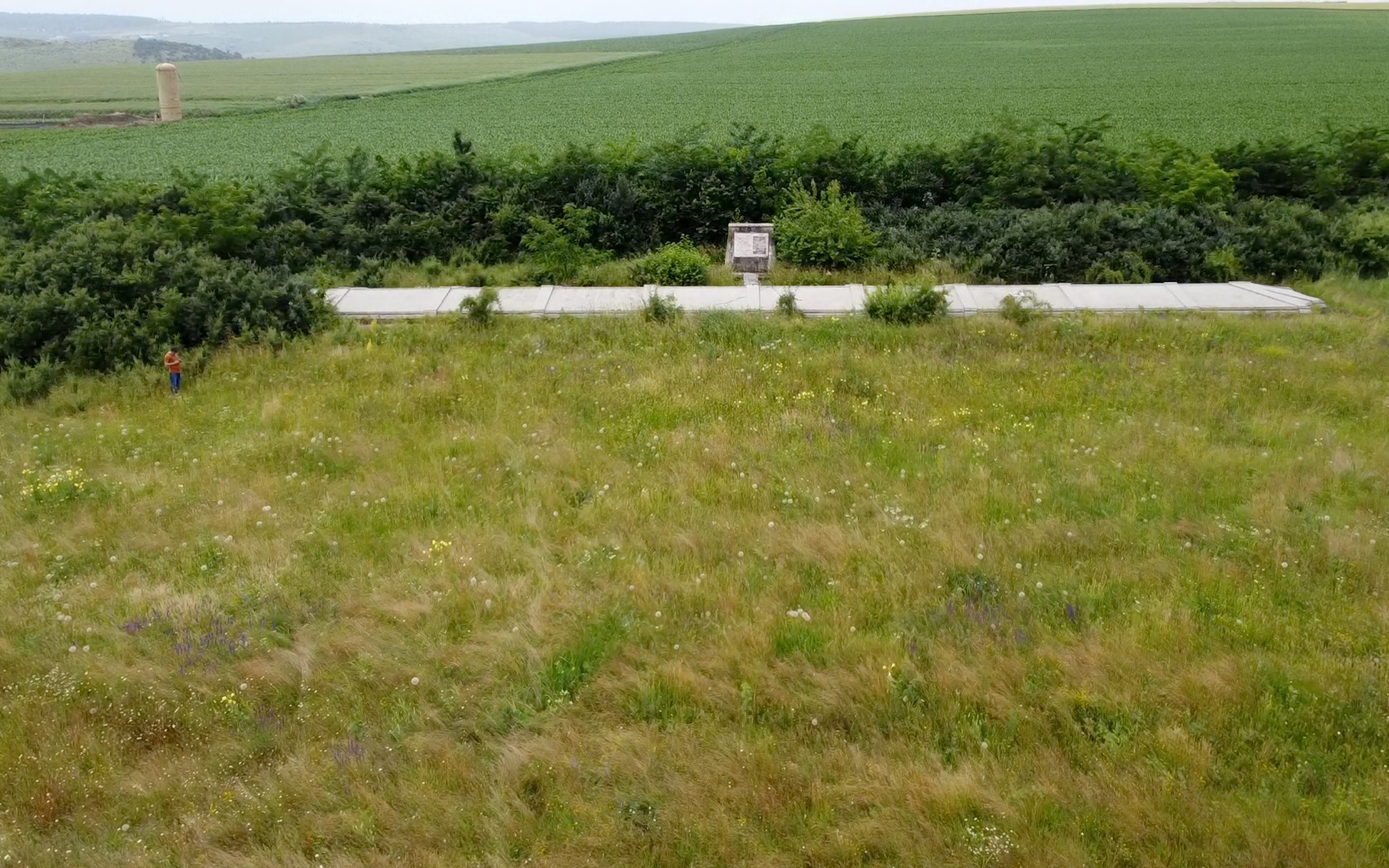 Urmele pogromului, văzute din cer. Gropile comune din Iași au fost filmate cu drona