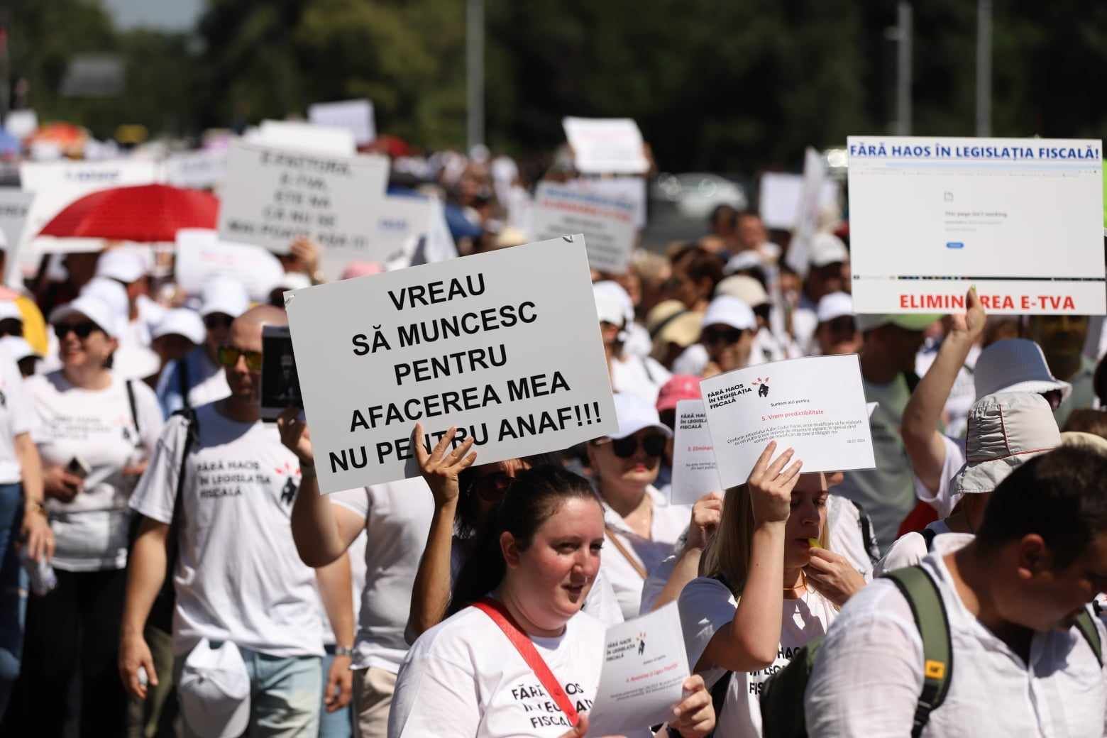 Protest al contabililor și economiștilor în București. Ministrul Boloș, după discuții: „Cea mai importantă concluzie este că vom mai dialoga”