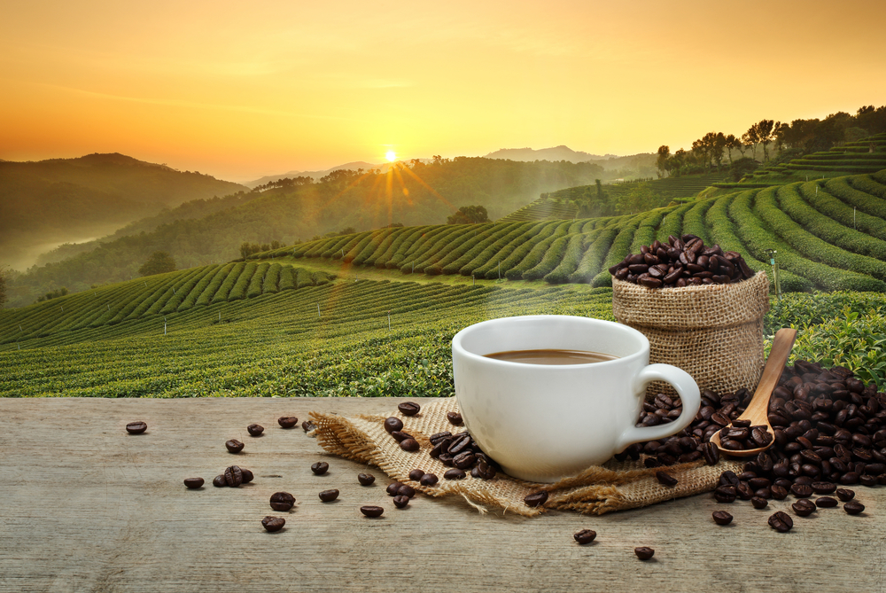 Ziua internațională a cafelei, pe 1 octombrie. Care este originea popularei băuturi