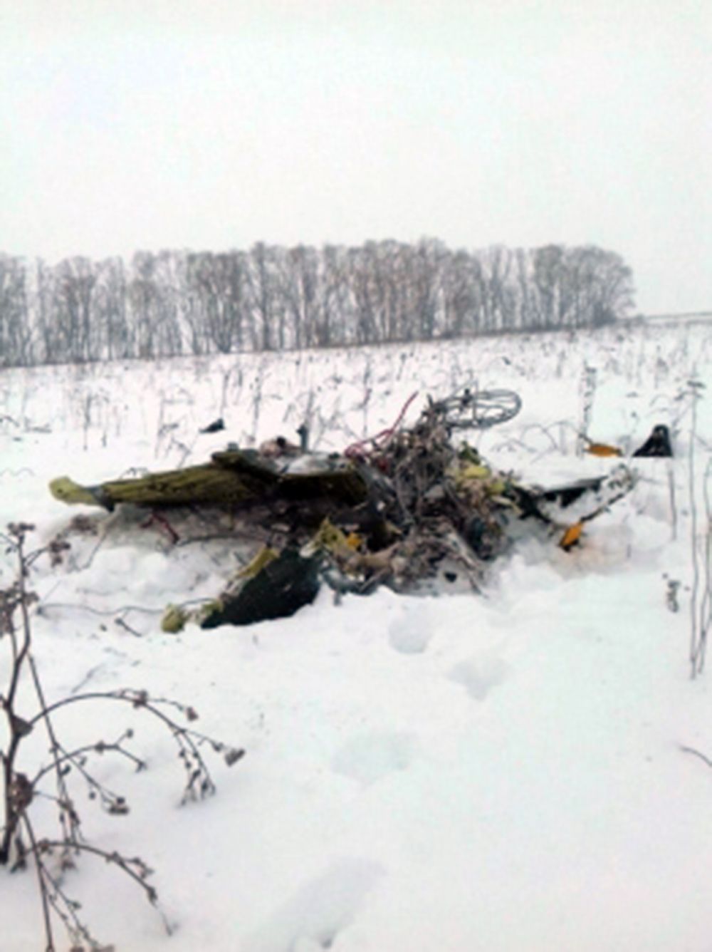 UPDATE | Un avion cu 71 de persoane la bord s-a prăbușit lângă Moscova. Trei copii şi trei cetăţeni străini, printre victime