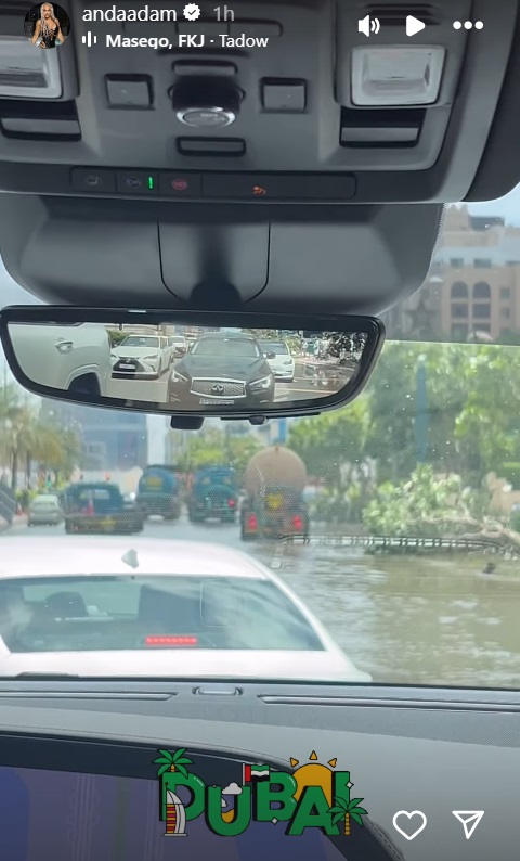 Anda Adam, prinsă de furtună în Dubai. A arătat imagini cu străzile inundate și copacii căzuți, iar apoi a mers la o plajă de lux