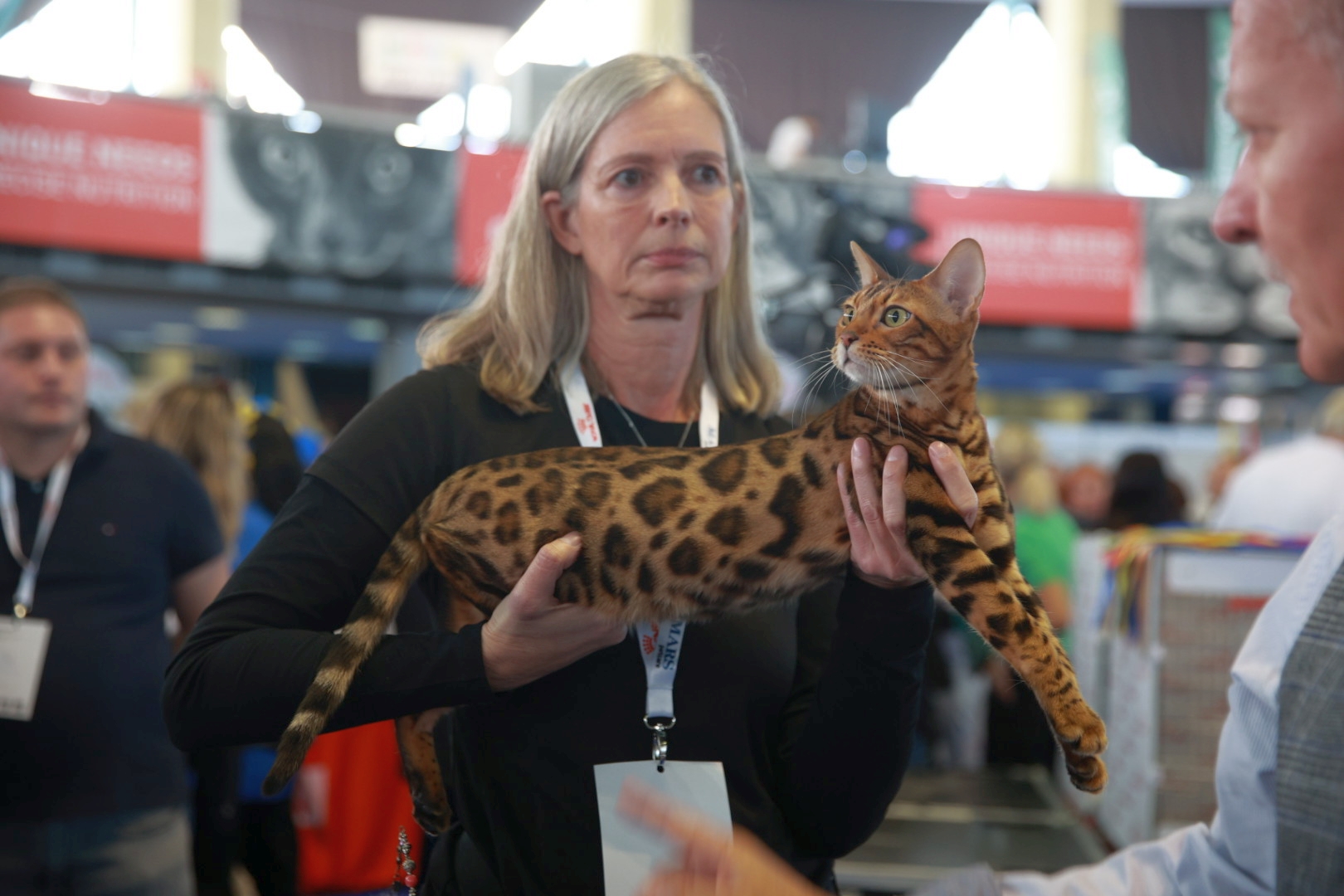 Libertatea a mers la Campionatul Mondial Felin. Bucureștiul, capitala mondială a pisicilor: peste 750 de feline din întreaga lume au strălucit la Romexpo
