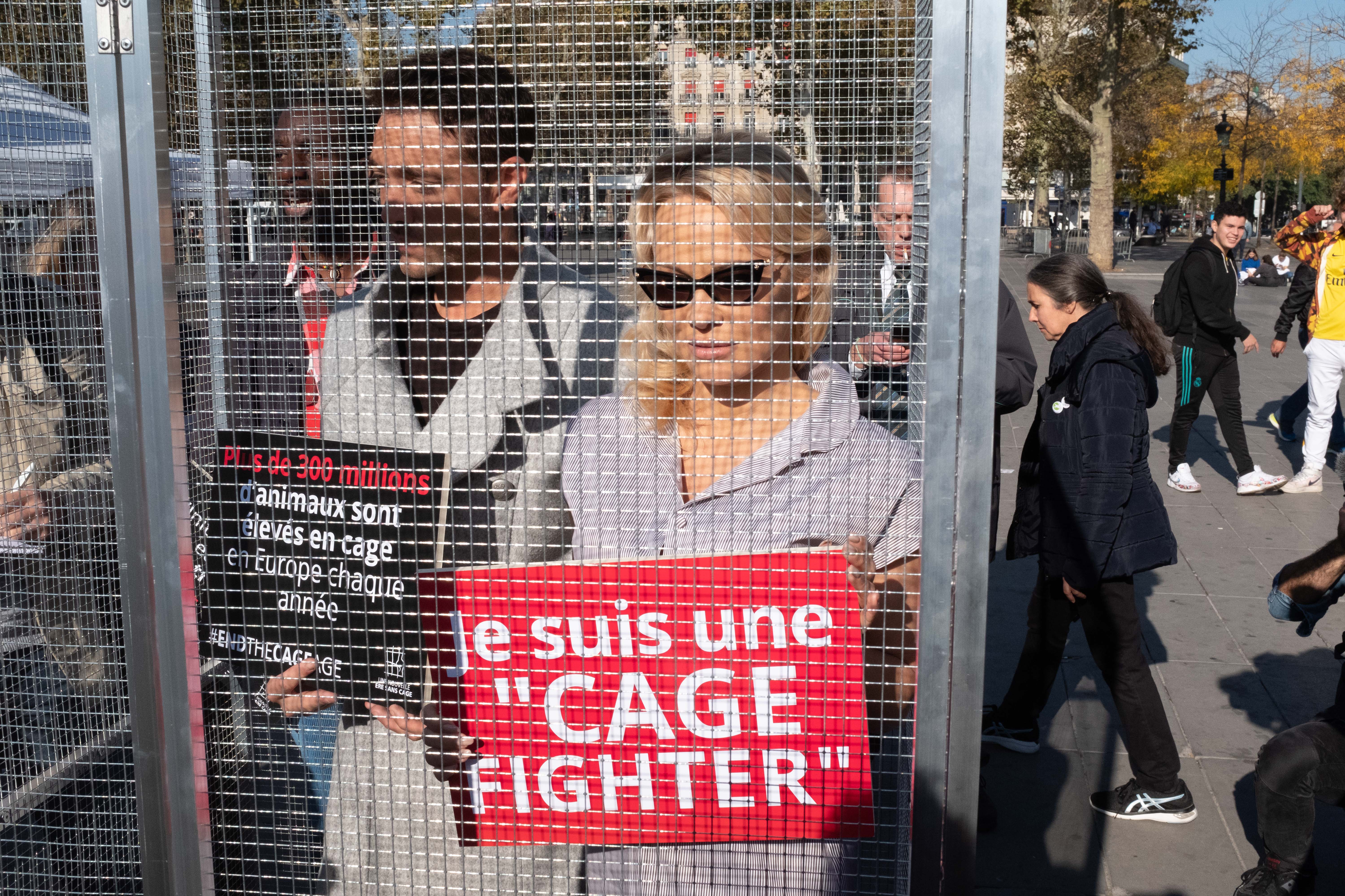 Pamela Anderson a fost închisă într-o cușcă, la Paris. Ce gest a făcut fosta starletă Playboy / FOTO&VIDEO