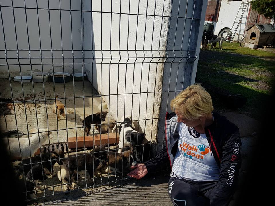 O fostă polițistă din Olanda a mers pe jos peste 2.000 de kilometri, până în România, pentru a salva câinii maidanezi