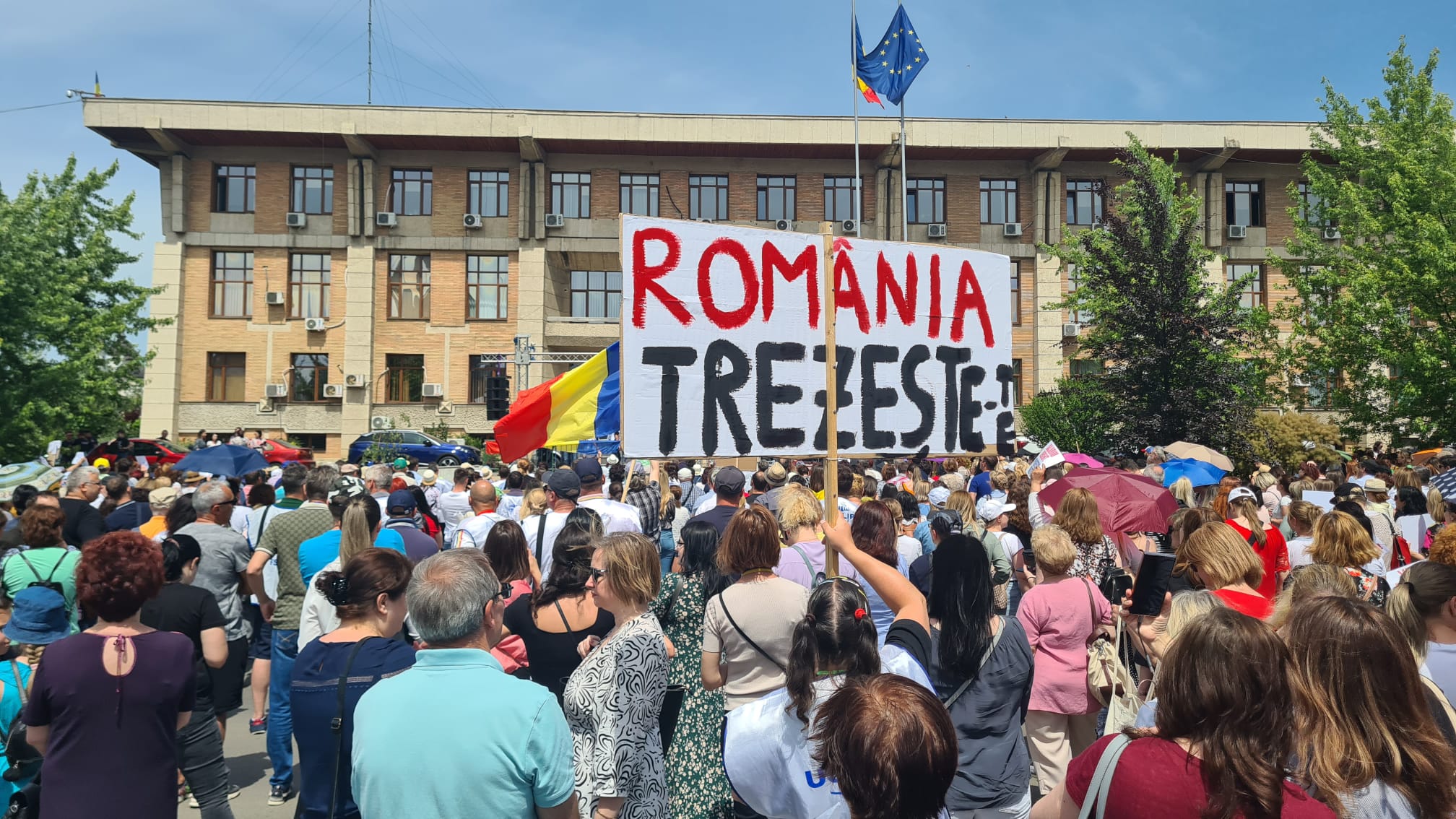 Grevă în Învățământ. Calendarul examenelor finale rămâne neschimbat, anunță Ligia Deca