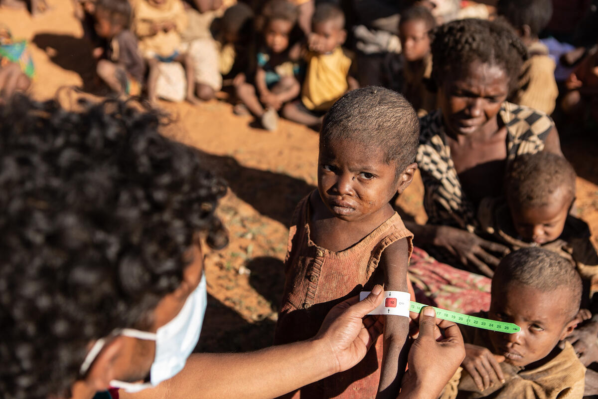Locuitorii din Madagascar, nevoiți să mănânce greieri, frunze de cactus și noroi, din cauza foametei