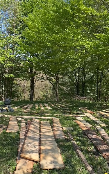 Cum arată cabana din pădure a Mihaelei Bilic după ce i-a pus acoperișul. Și-a amenajat și curtea, unde are hamac