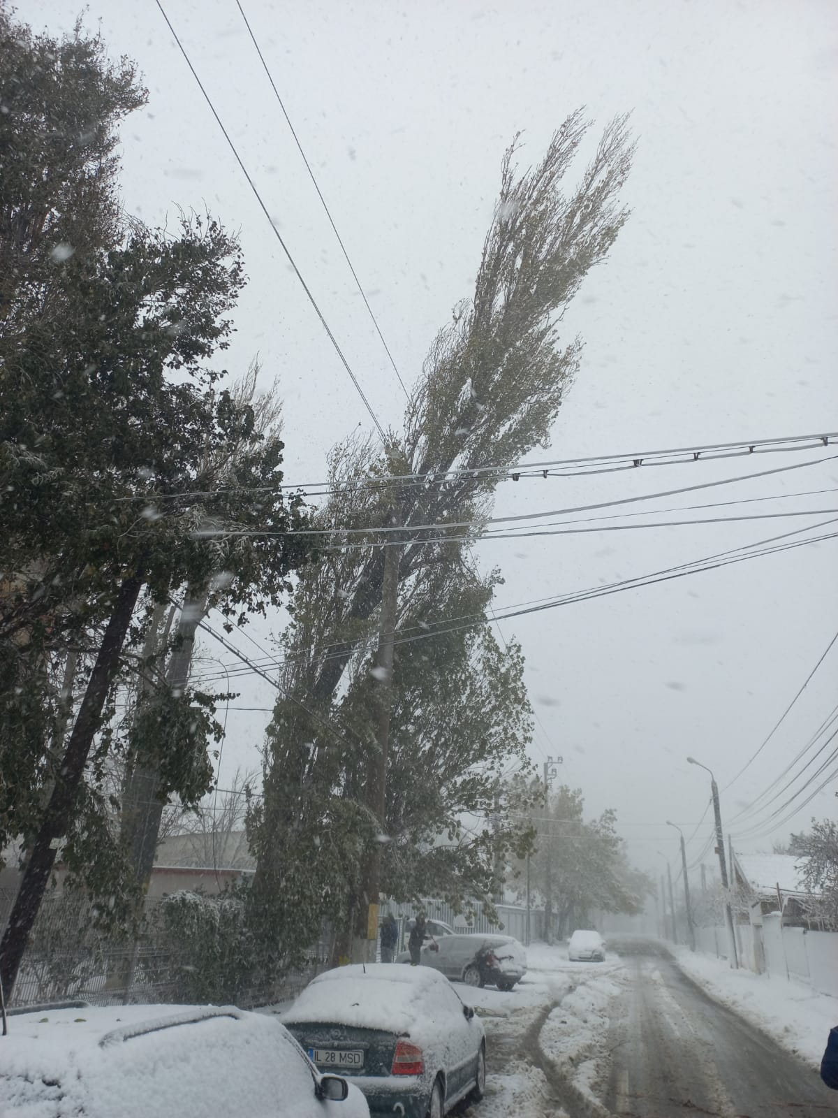 Viscolul și ninsorile au provocat haos în mai multe județe. Sute de localități fără curent, în timp ce orașul Constanța a rămas fără apă potabilă timp de cinci ore
