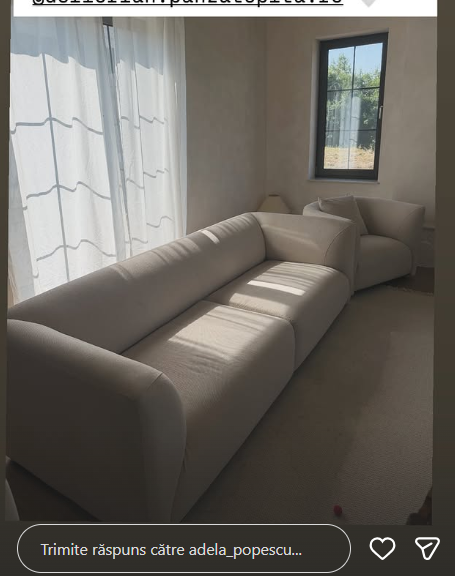 Noi imagini din casa de la Șușani a lui Radu Vâlcan și a Adelei Popescu. Piesa de rezistență din living a atras atenția tuturor