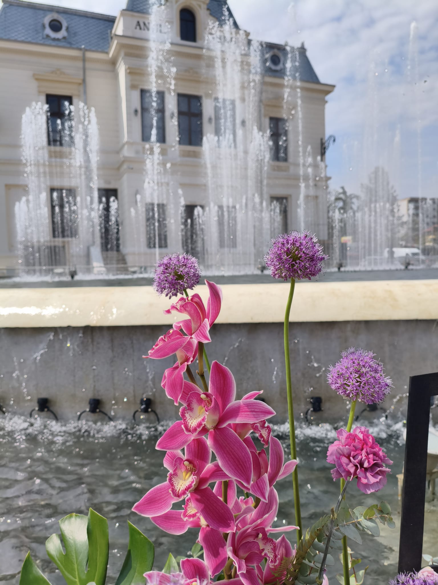 Peste 400.000 de lalele, la cea mai mare expoziție florală din România. Soiul unic care poate fi admirat doar la Pitești
