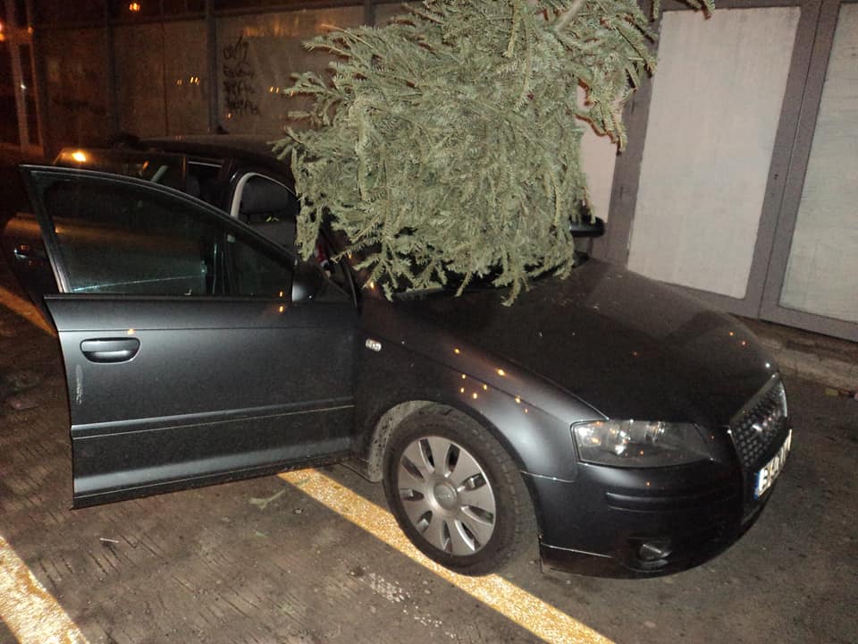Incredibil ce a făcut un român cu un brad de la Crăciun. A distrus o mașină parcată | FOTO