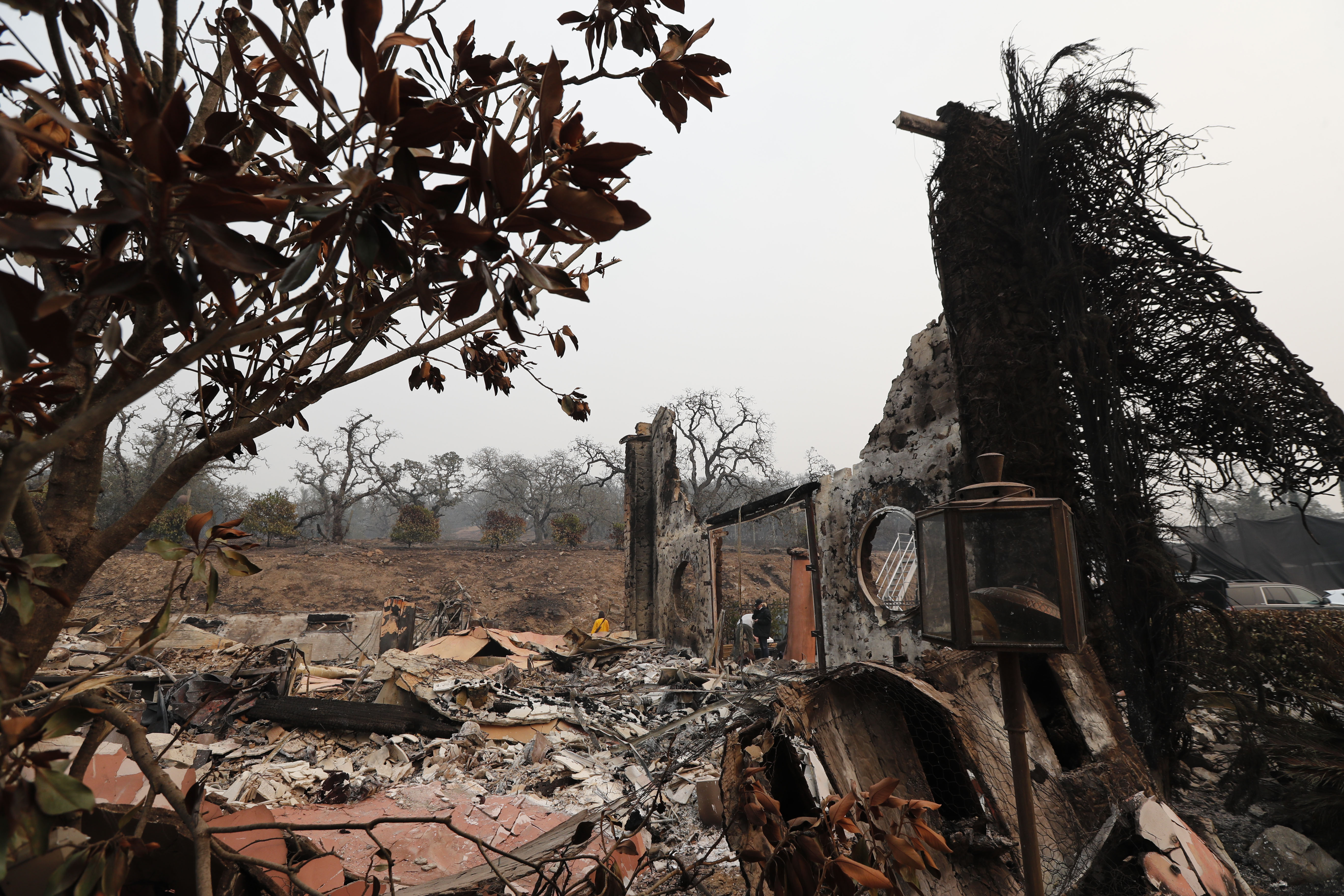 GALERIE FOTO| Incendii devastatoare în California. Cel puțin 23 de persoane au murit, mii de case și terenuri au fost distruse de foc