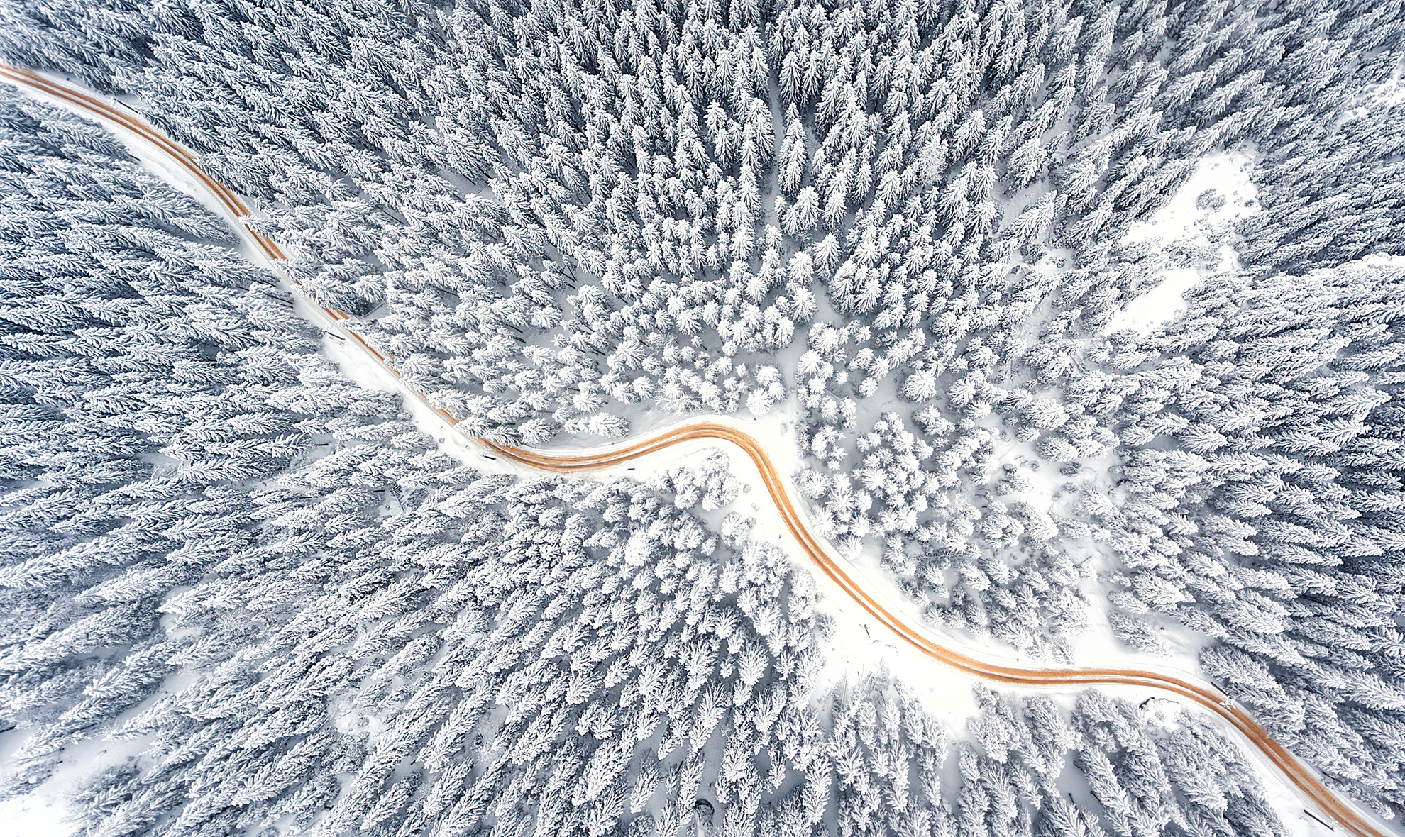 FOTO/ Povestea IT-istului care a ajuns în National Geographic. Fotografiile sale au făcut înconjurul lumii