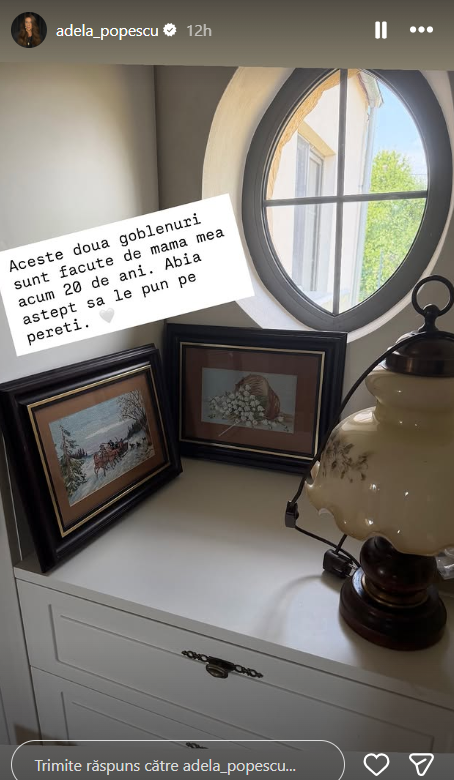 Noi imagini din casa de la Șușani a lui Radu Vâlcan și a Adelei Popescu. Piesa de rezistență din living a atras atenția tuturor