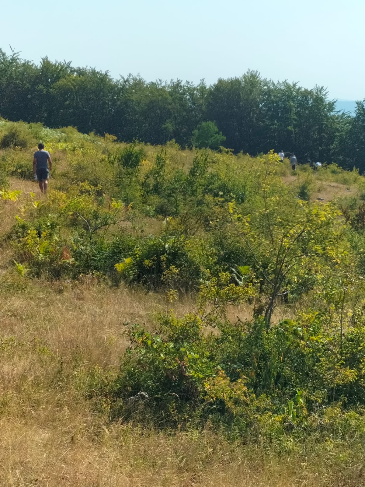 Pacient de la sanatoriul Dobrița, din Gorj, căutat de aproape două săptămâni de polițiști și salvamontiști. Au fost trimise drone și un elicopter