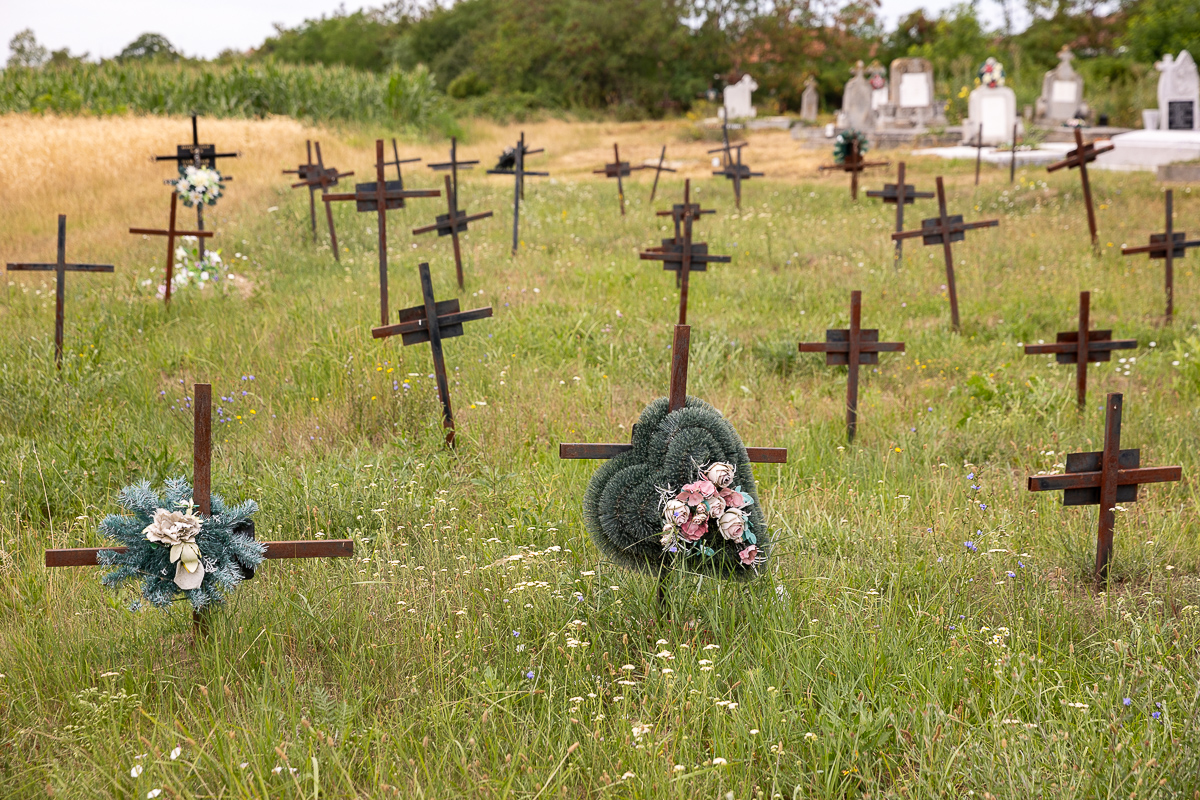 Cimitirul cu necunoscuți din Dumbrava. Viorel Pașca: „Toată lumea, indiferent de religie, are cruce la fel. Ca să nu se supere niciunul”