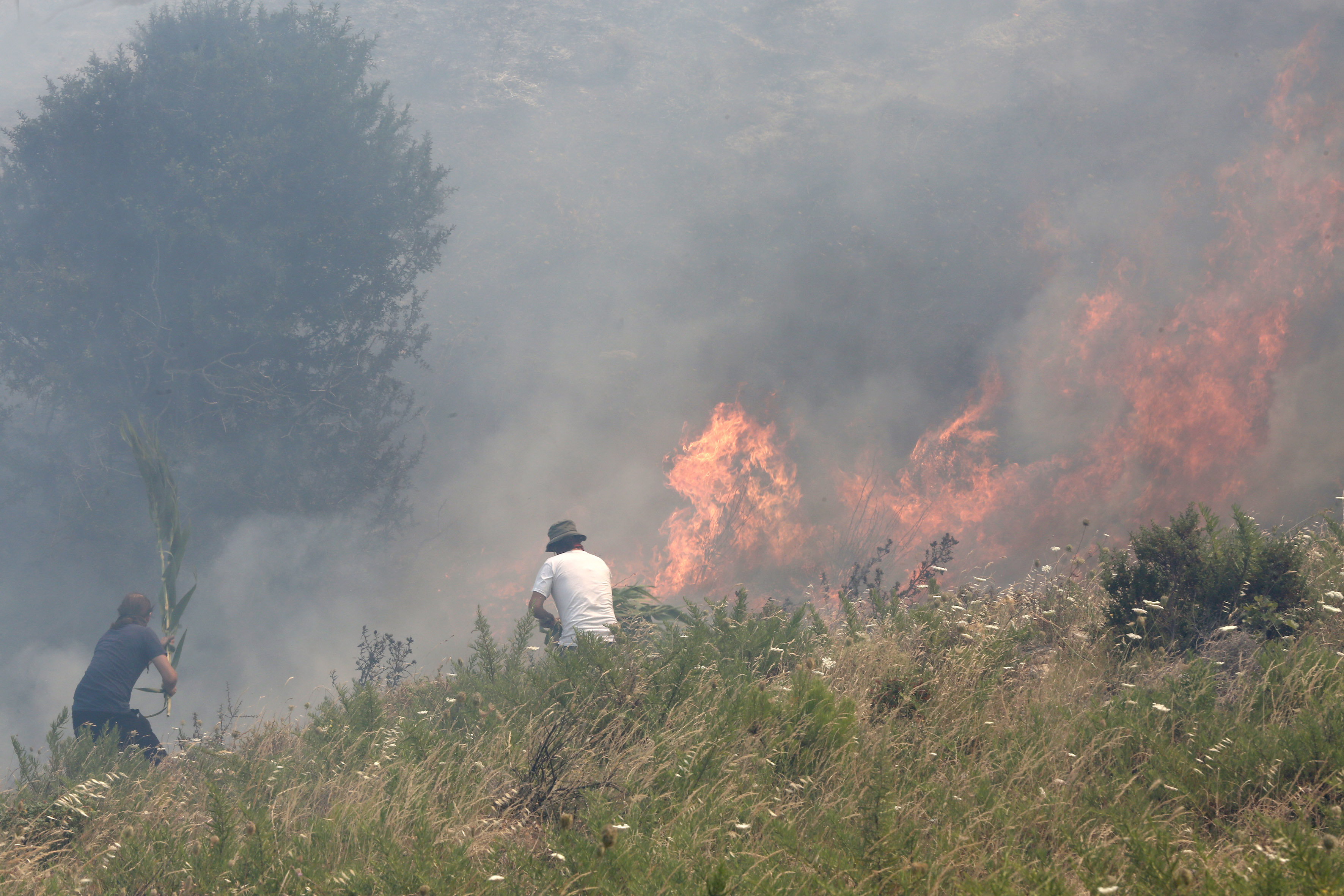 FOTO | Incendii în apropiere de Atena. Mai multe case au fost mistuite de flăcări