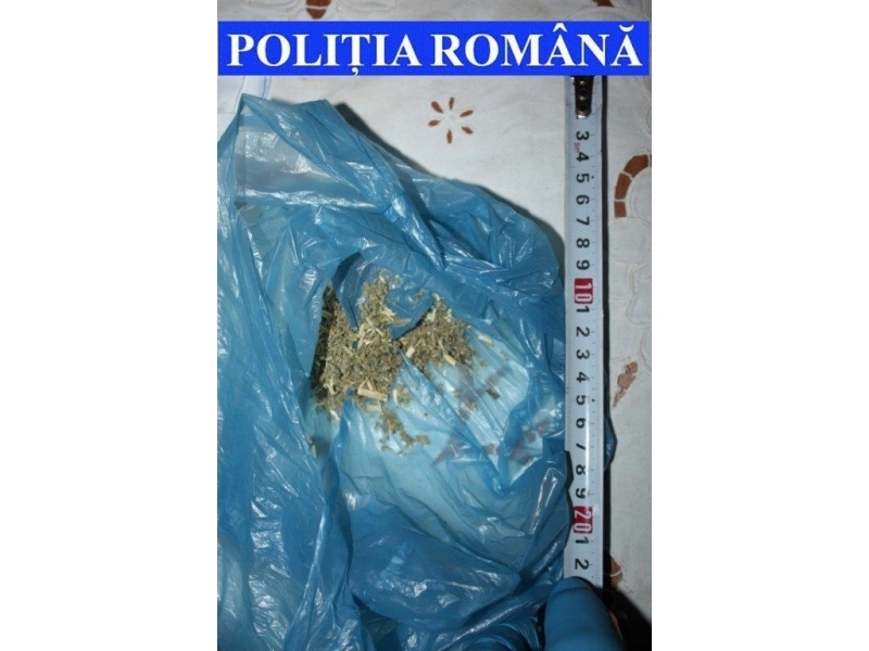 Zeci de polițiști și mascați au descins într-un bloc de interlopi din Focșani pentru destructurarea unei rețele de traficanți de droguri