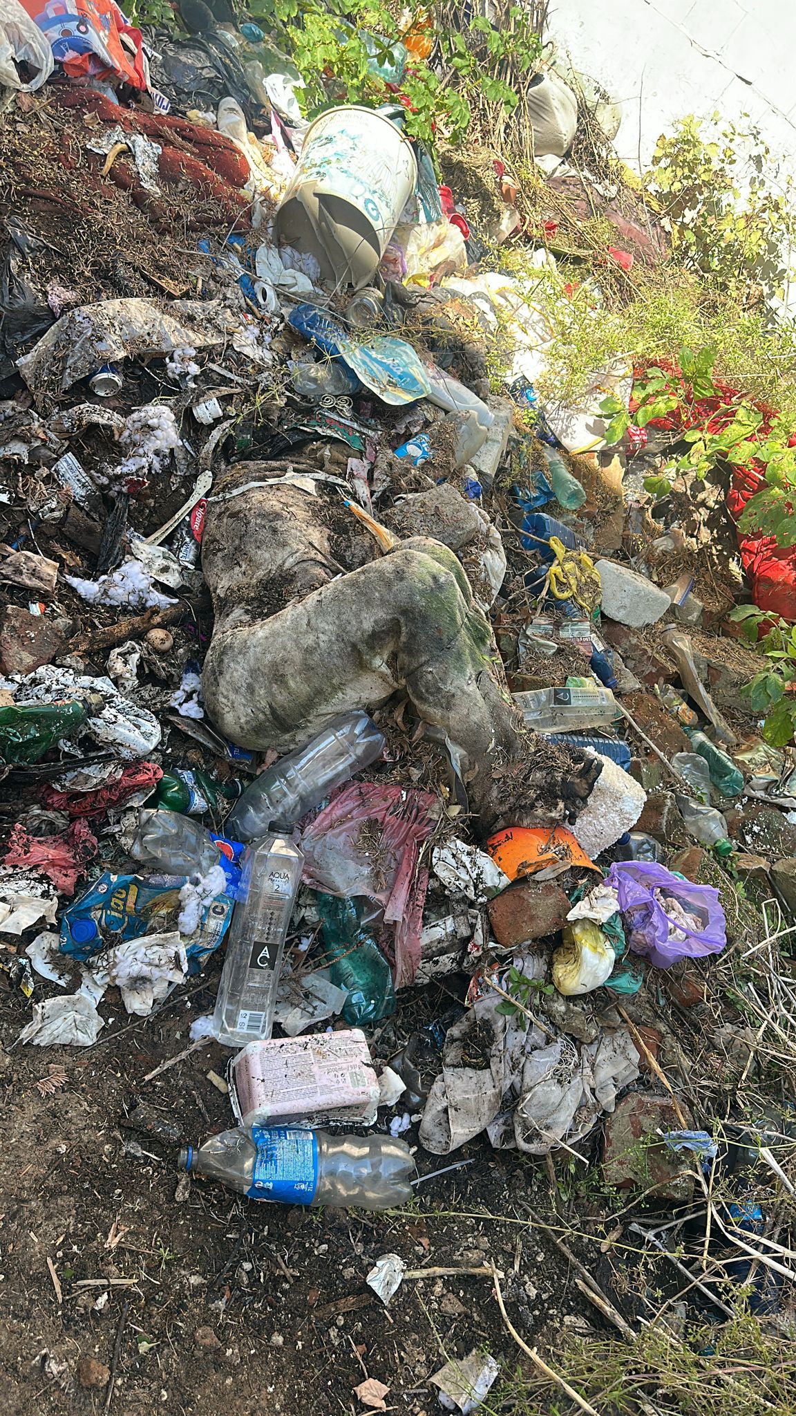 Ce spun specialiștii în cazul pseudo-crimei de la Ploiești cu victimă o Rosemary Doll: „Abandonarea anchetei ar fi o gravă eroare”. Ce îi intrigă pe polițiști