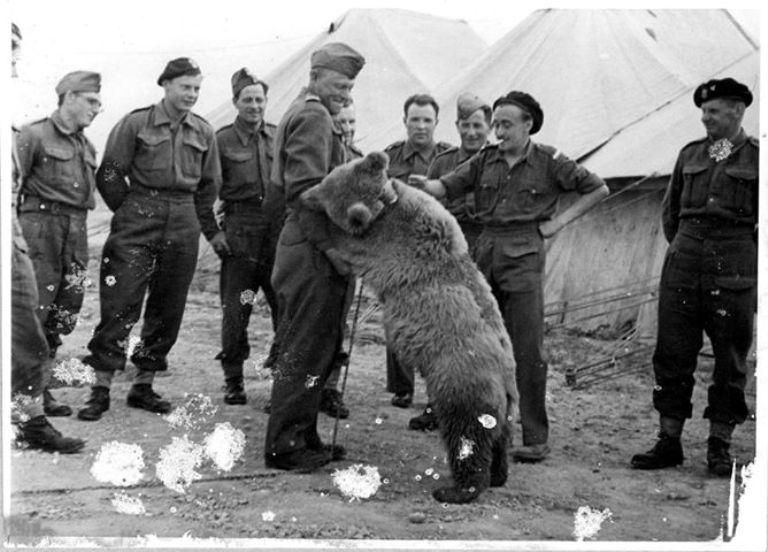 Wojtek the bear [Culture.pl]