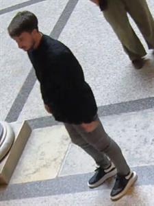 Un colier regal cu 673 de diamante, de 4,3 milioane de dolari, a fost furat dintr-un muzeu din Viena, în plină zi