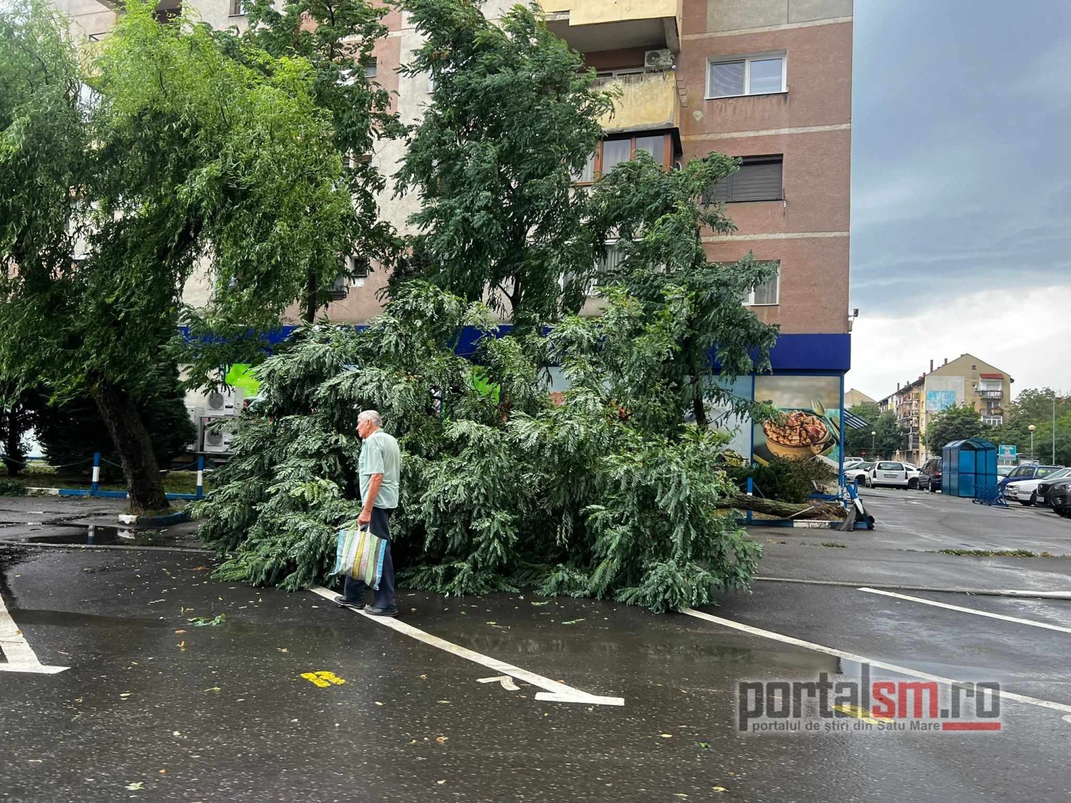 Pagube în mai multe județe din țară, în urma vijeliilor: zeci de copaci căzuți, mașini avariate și acoperișuri luate de vânt