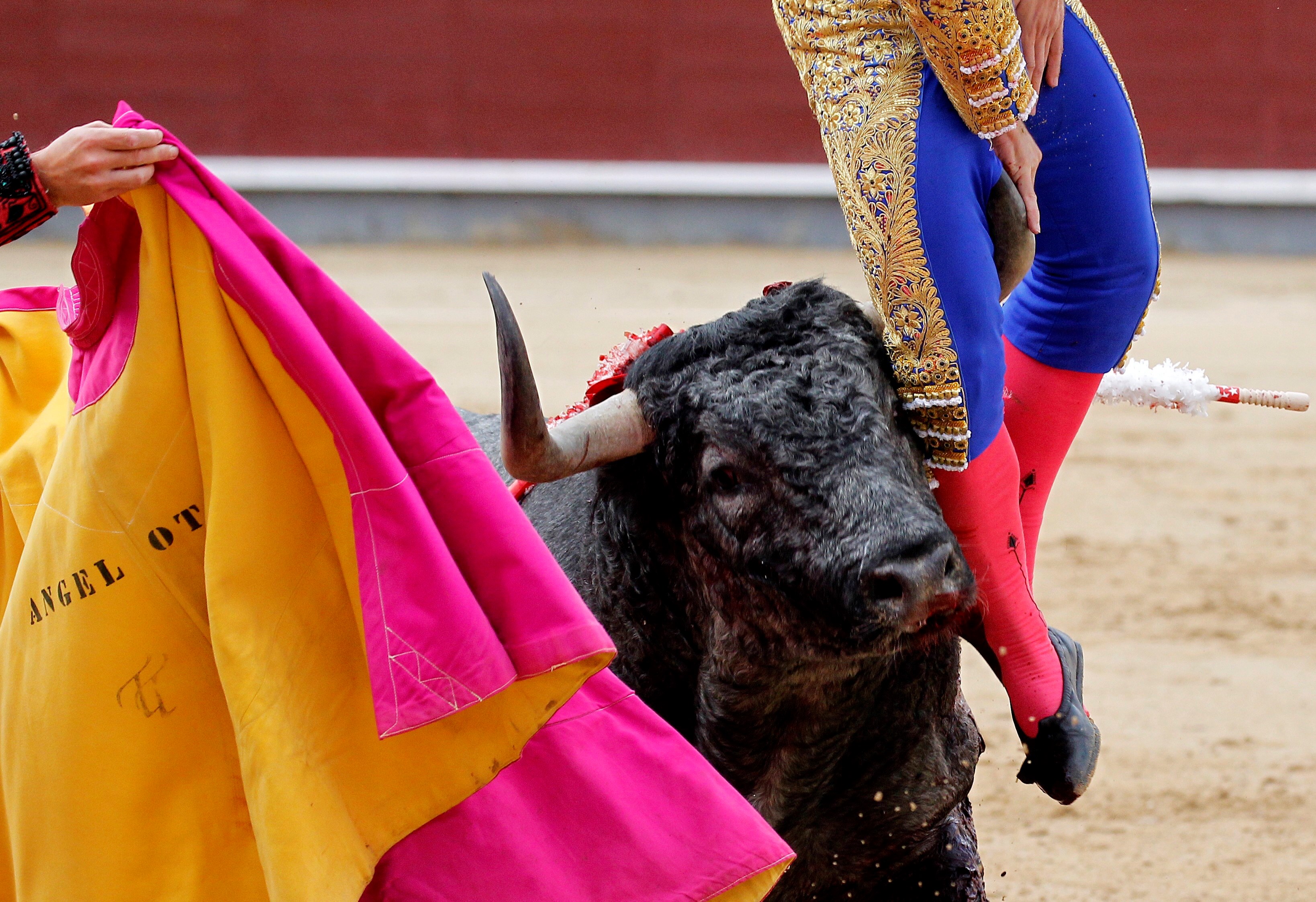 FOTO | Momentul șocant în care un matador este împuns de un taur furios. Omul a fost rănit grav