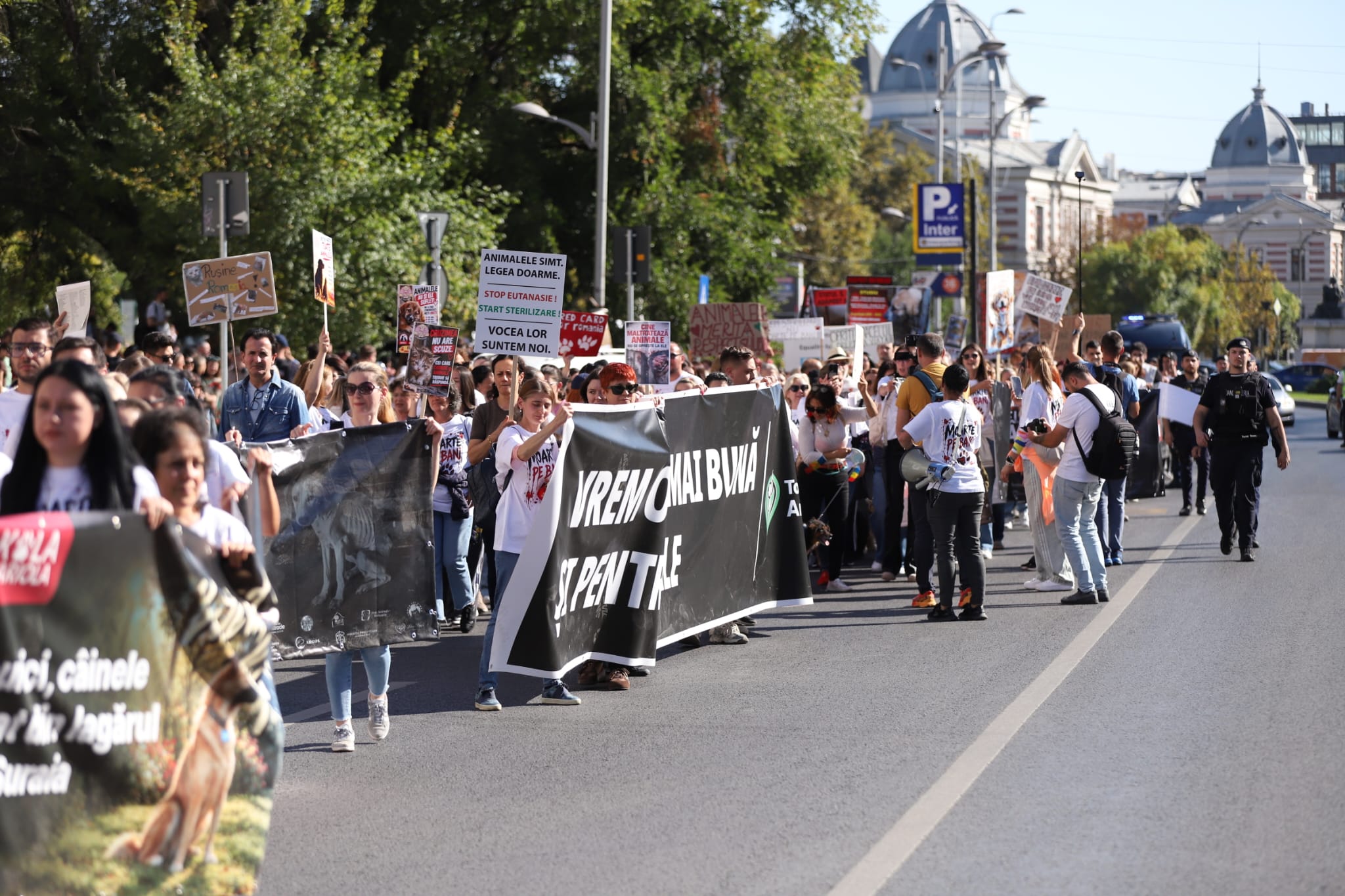 Protest de amploare în București de Ziua Mondială a Animalelor. Peste 70 de organizații cer oprirea uciderii câinilor din adăposturi și legi mai ferme